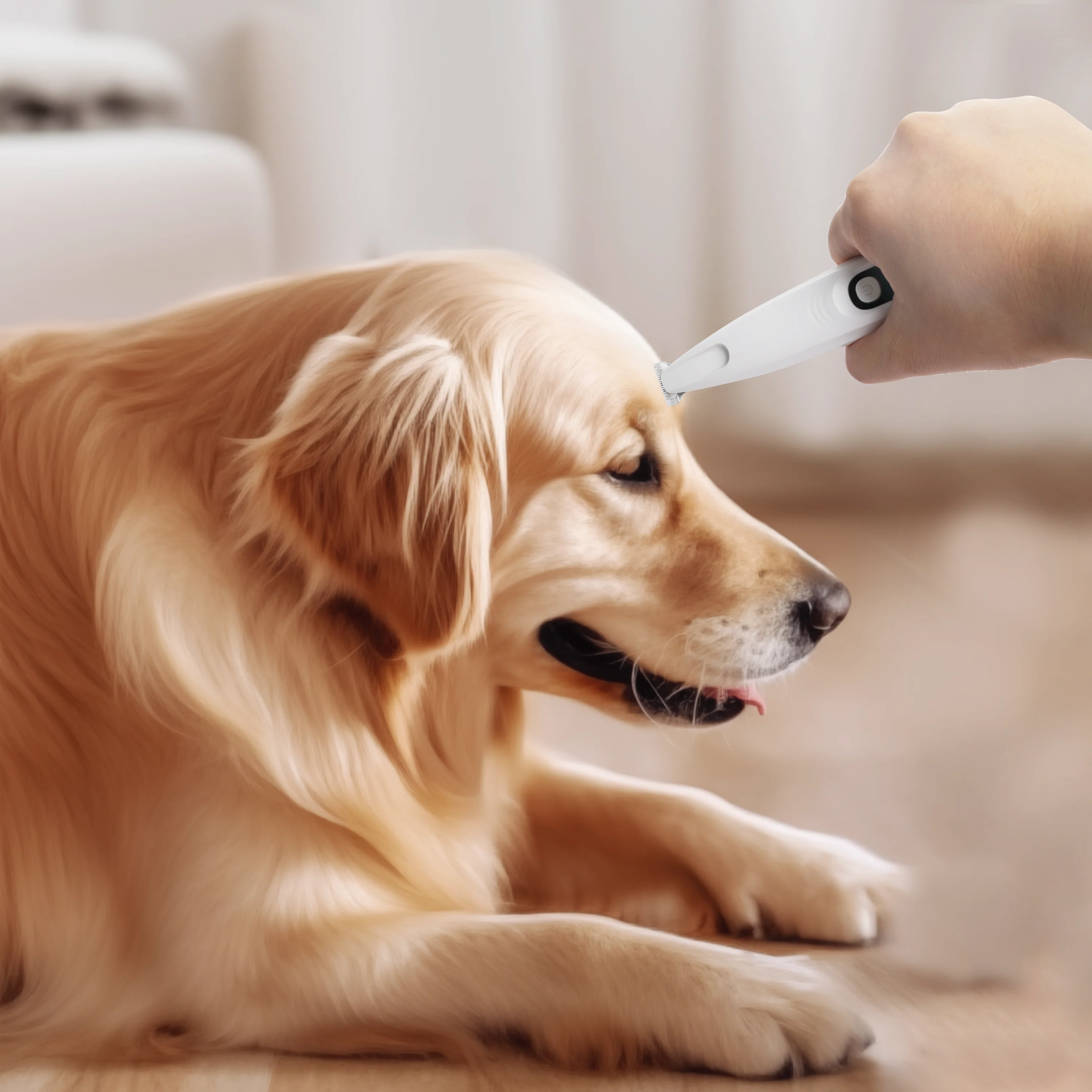 Pet Salon-Pet Hair Trimmer - Image 5