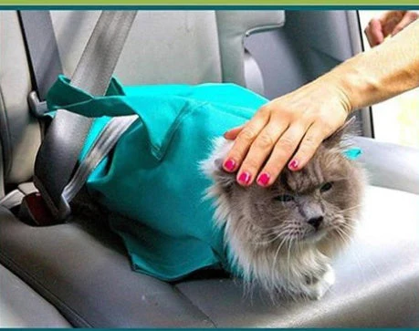 Pet Sling Carrier Shoulder Bag - Image 2