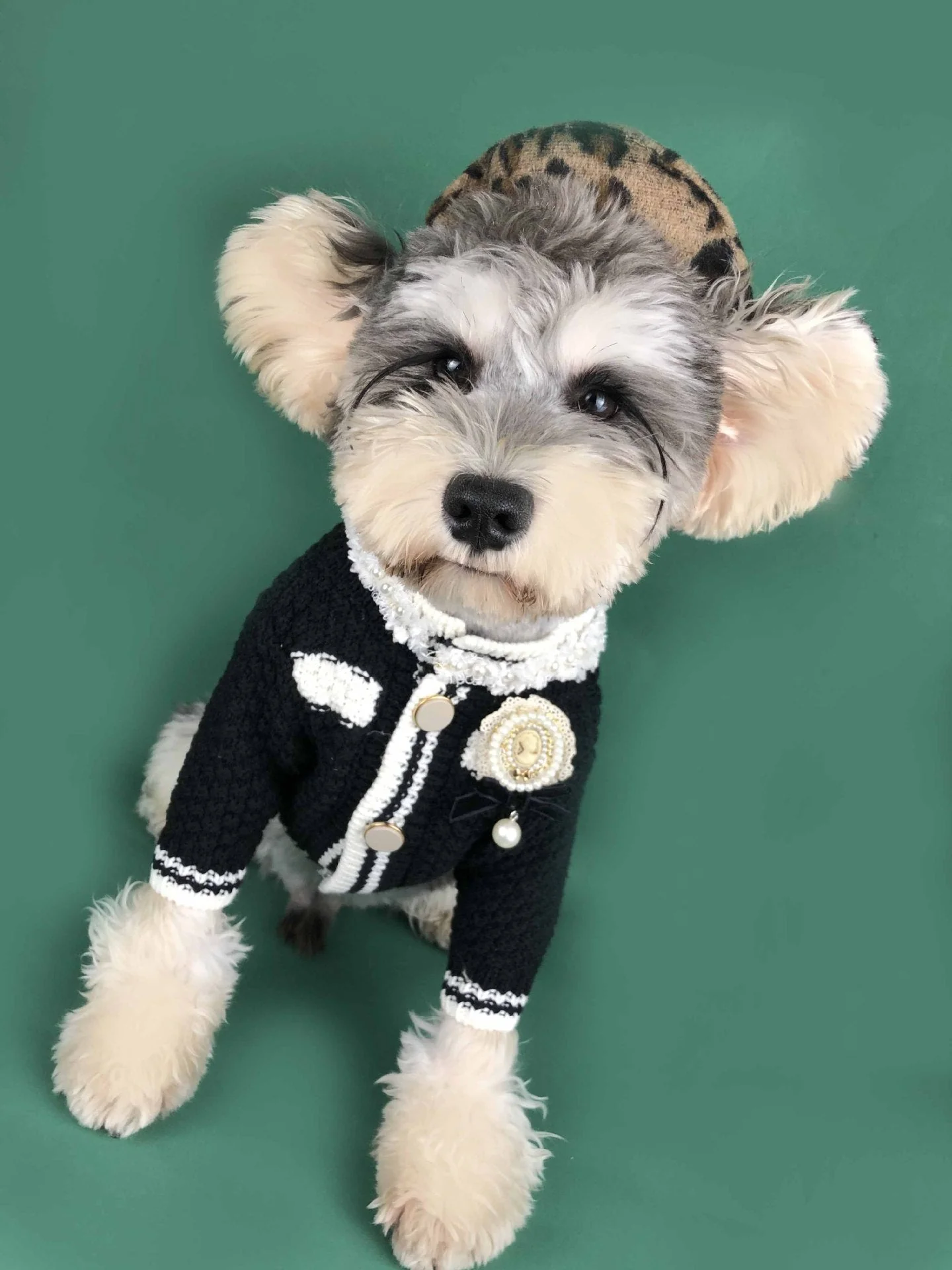 Pet sweater kint fashion cardigan - Image 2