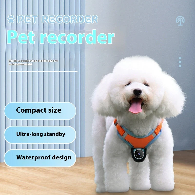 Pet Tracker Collar Viewing Angle Motion - Image 3