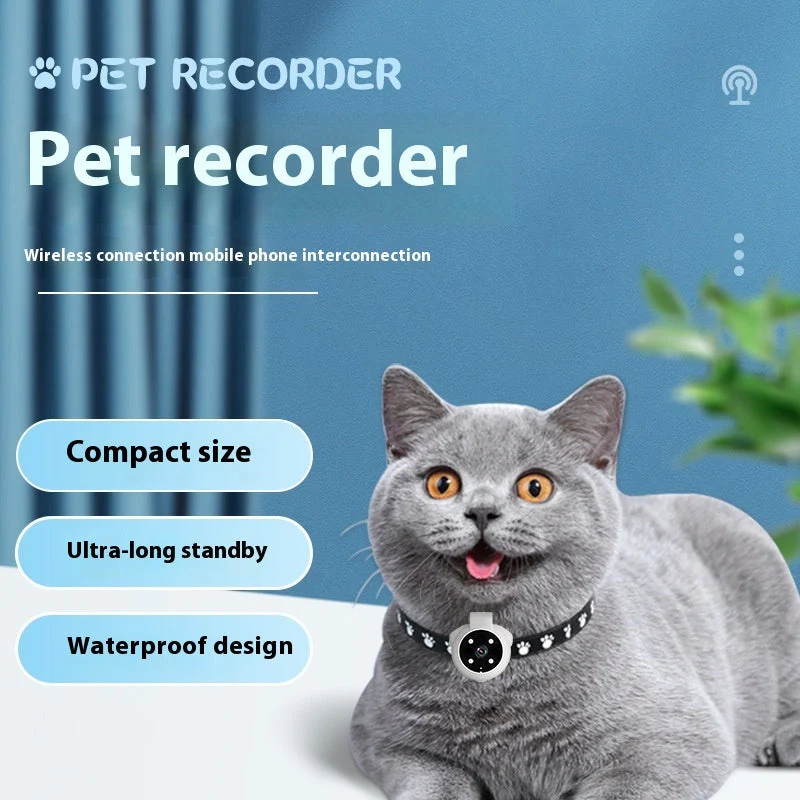 Pet Tracker Collar Viewing Angle Motion - Image 5