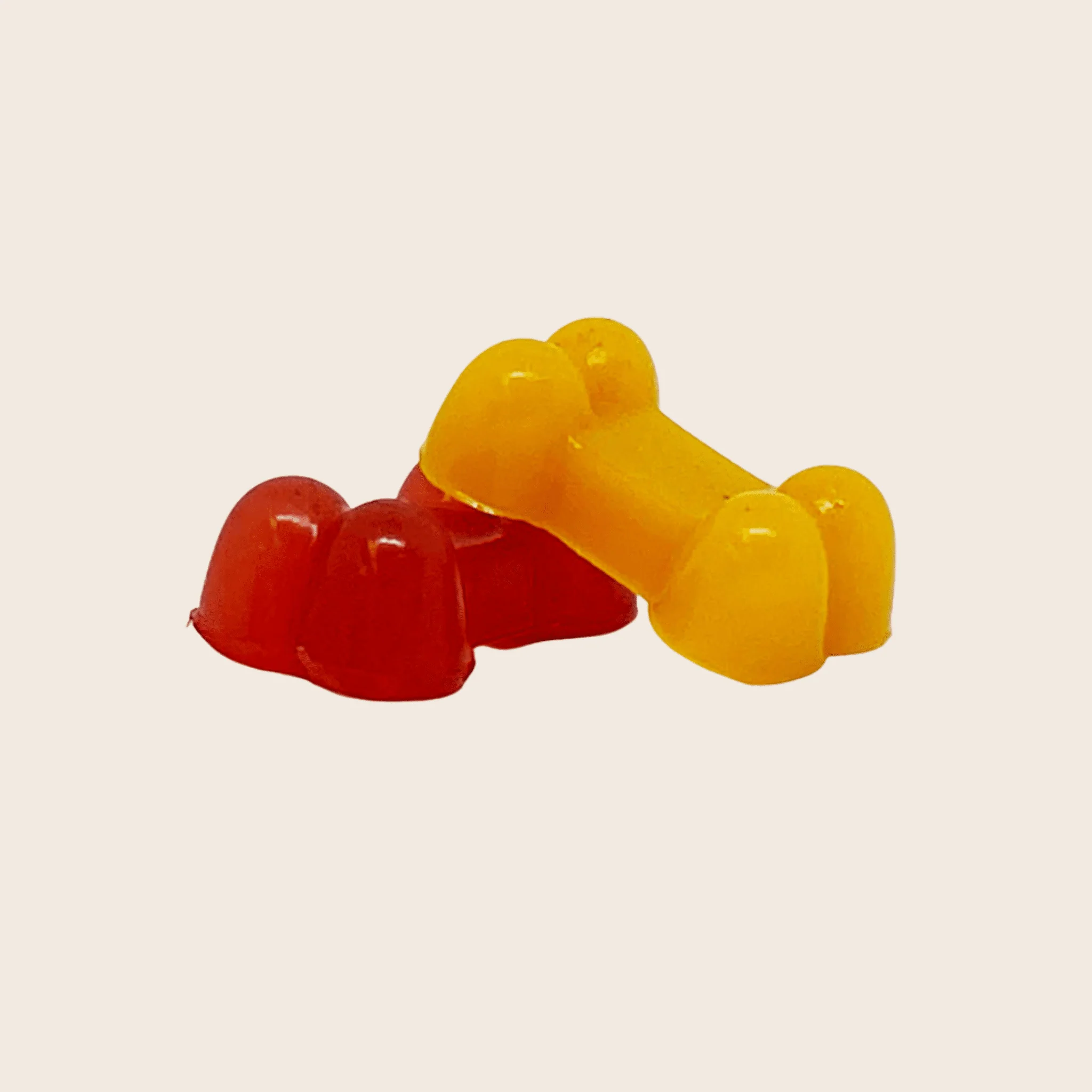Pet Treat Molds - Image 2