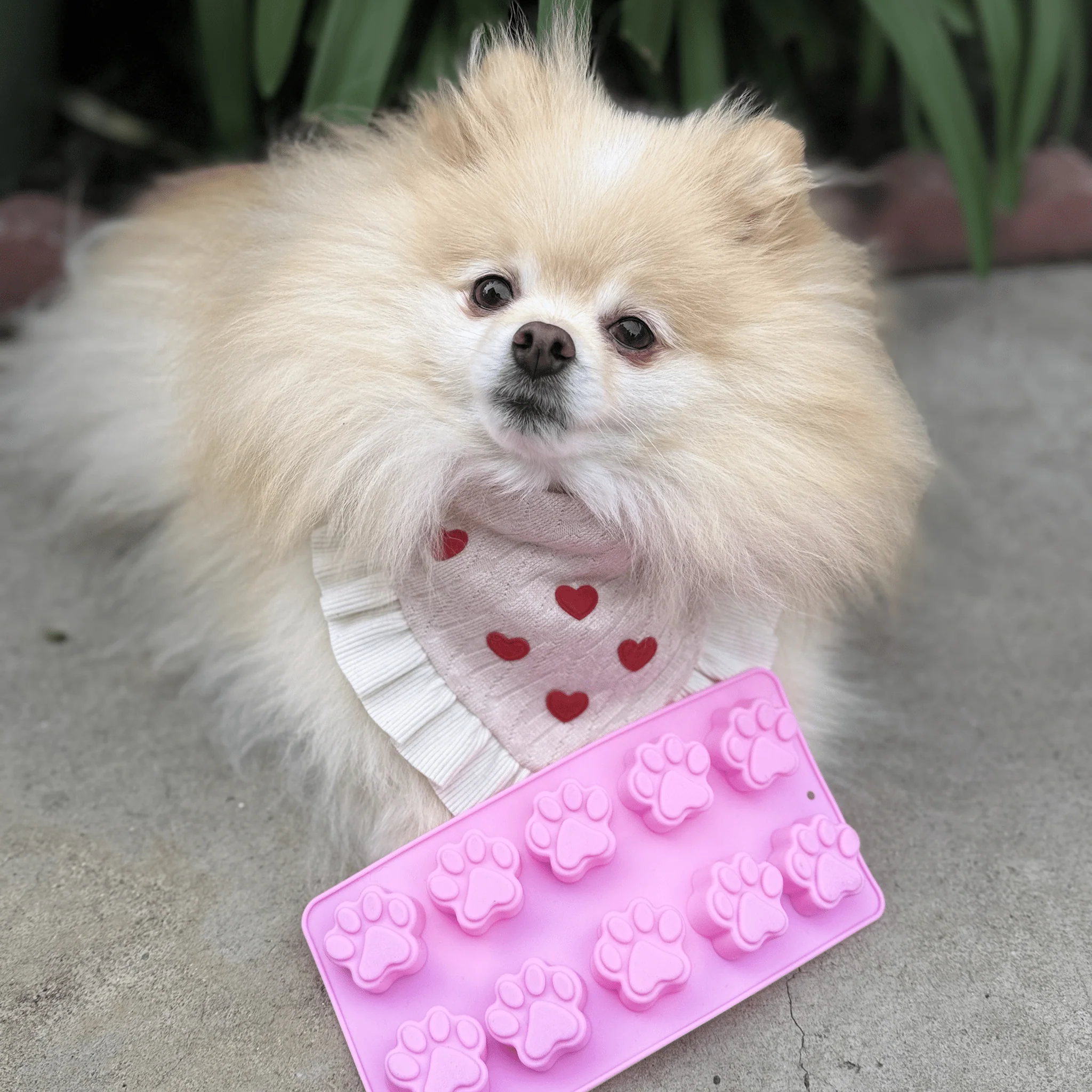 Pet Treat Molds - Image 20