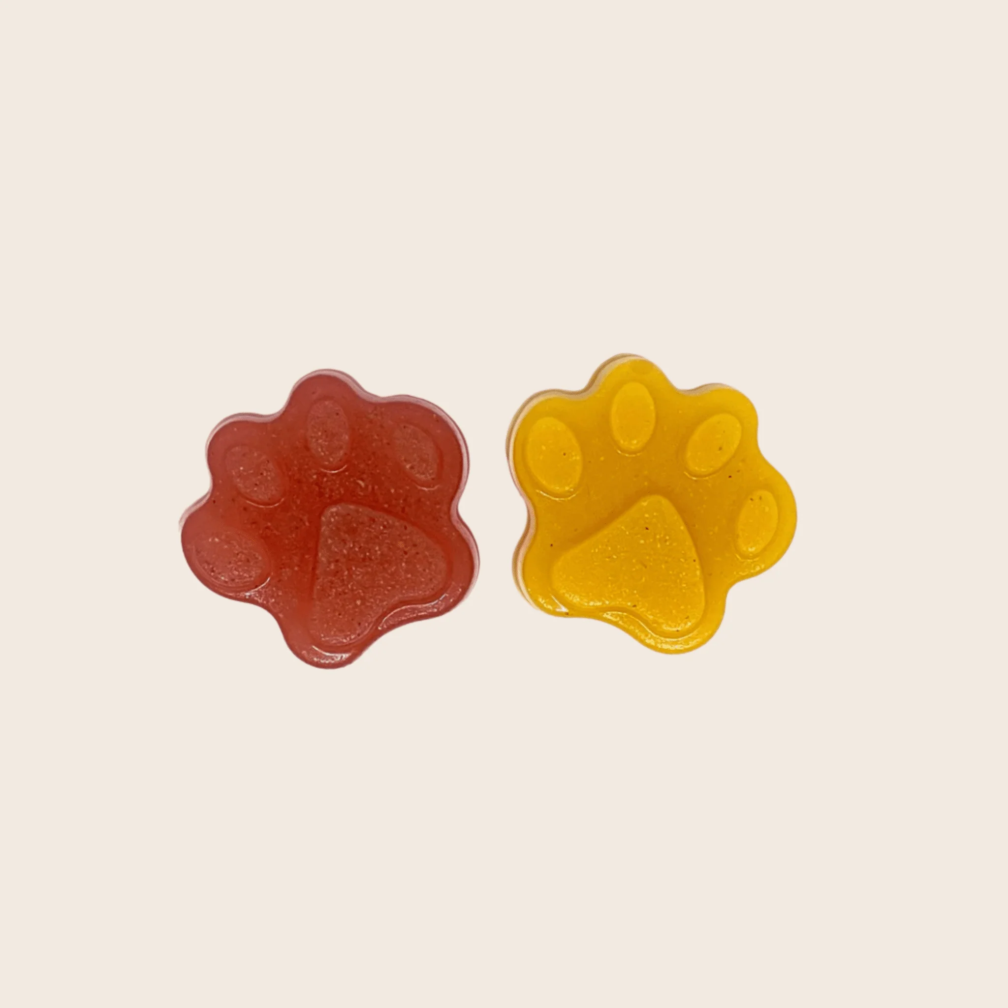 Pet Treat Molds - Image 21