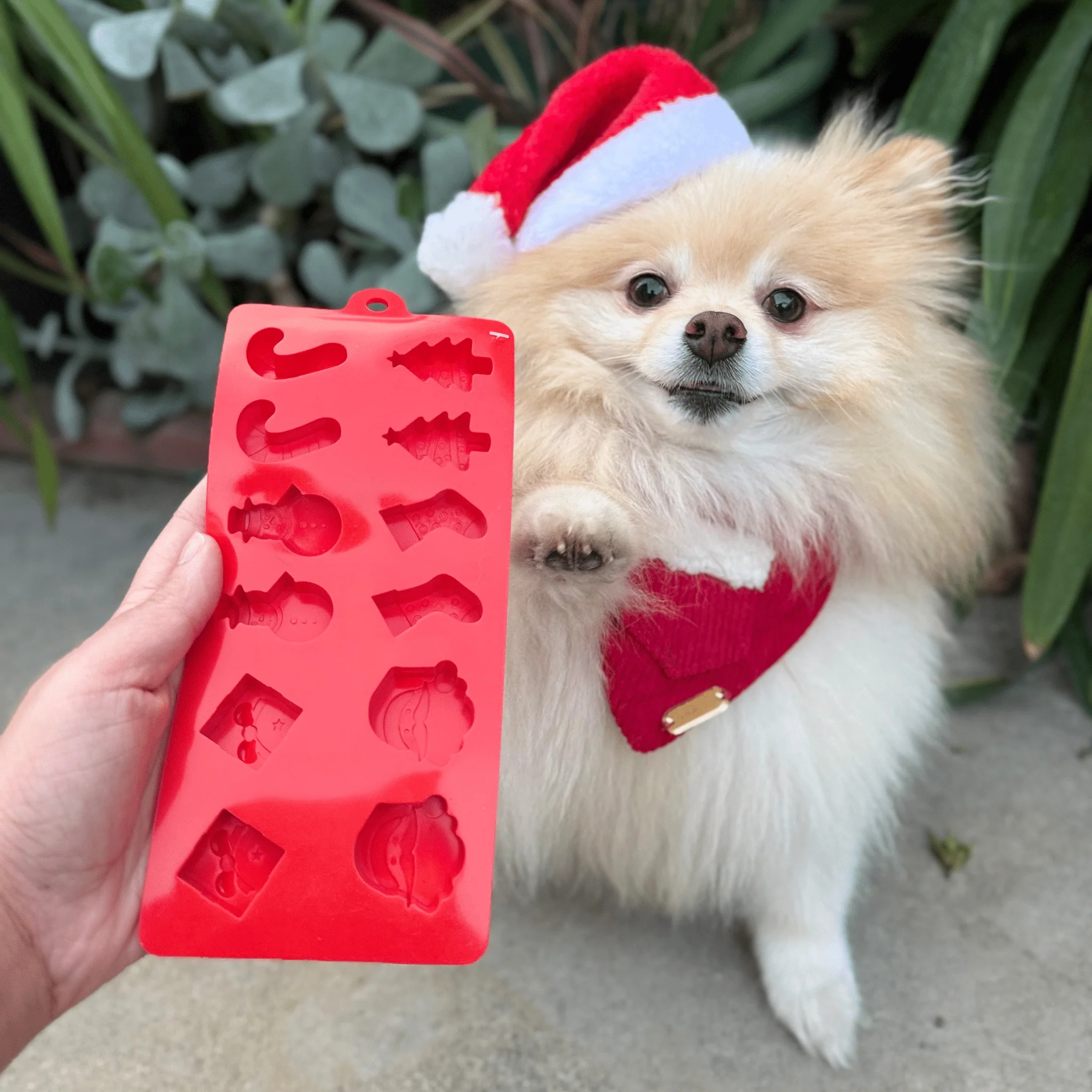 Pet Treat Molds - Image 26