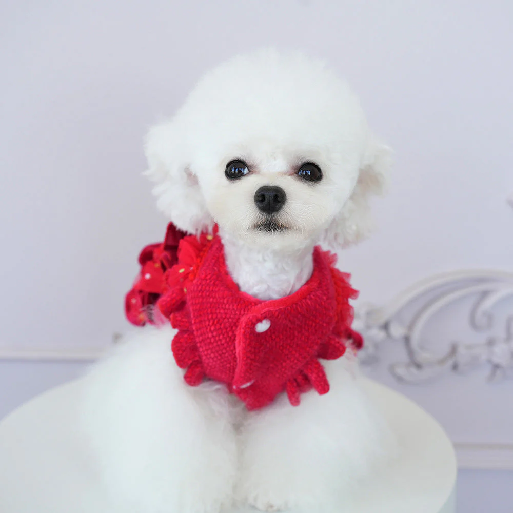 Pet Velvet Layered Tulle Dress with Bow - Image 6