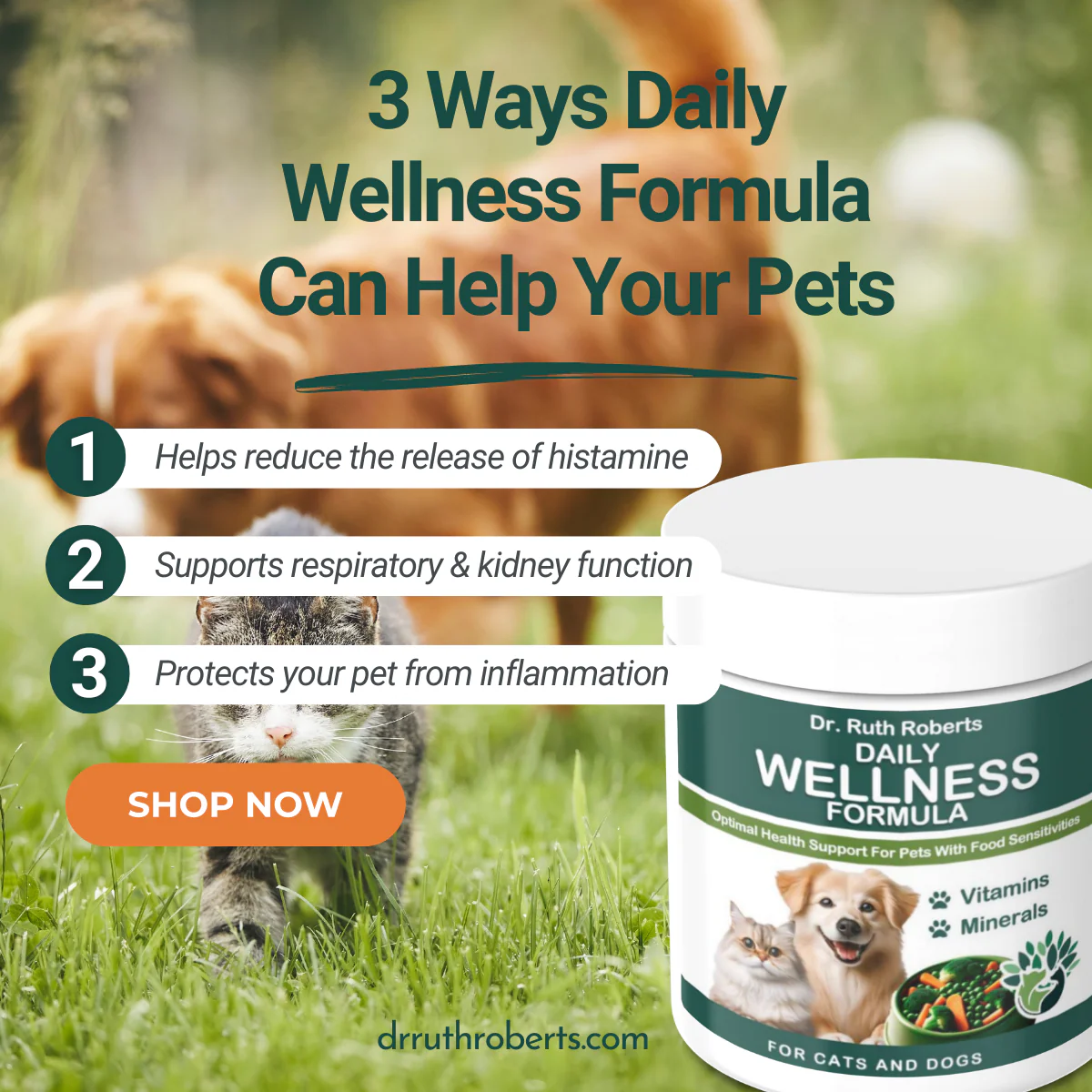 Pet's Daily Wellness Formula - For Pets With Pork/Beef Allergy - Image 9