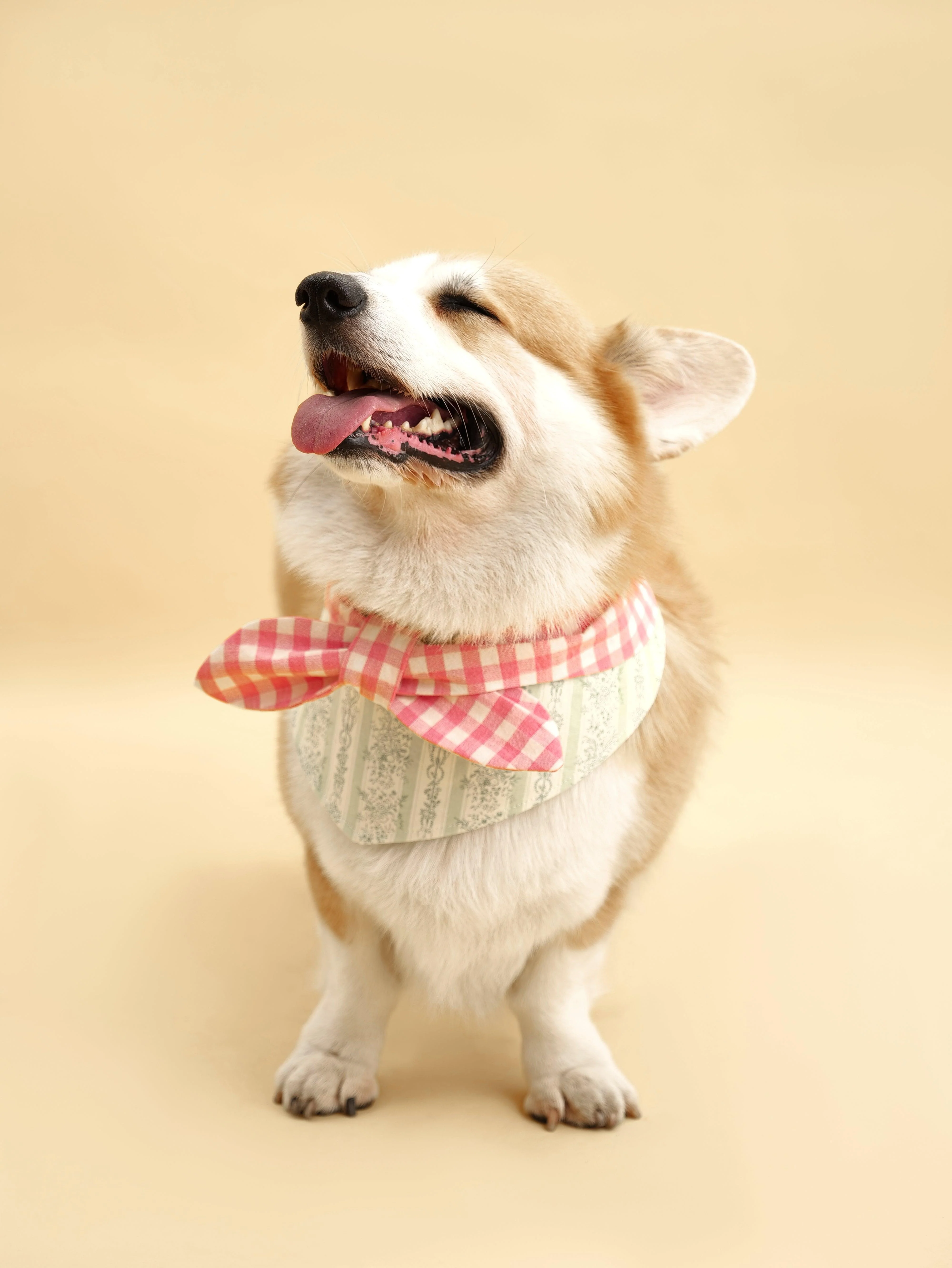 Picnic Bliss Floral Gingham Print Bandana - Image 2