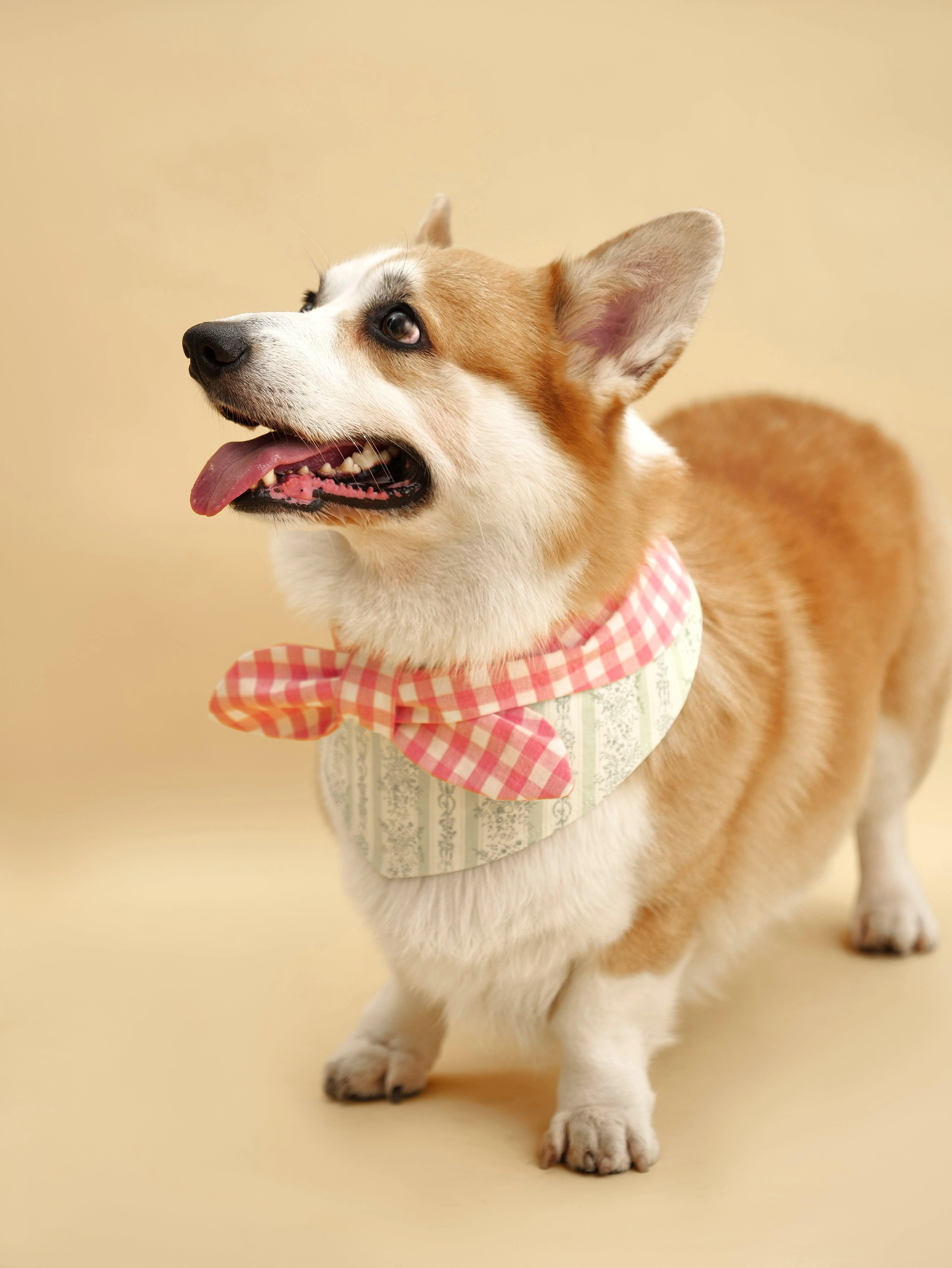Picnic Bliss Floral Gingham Print Bandana - Image 5