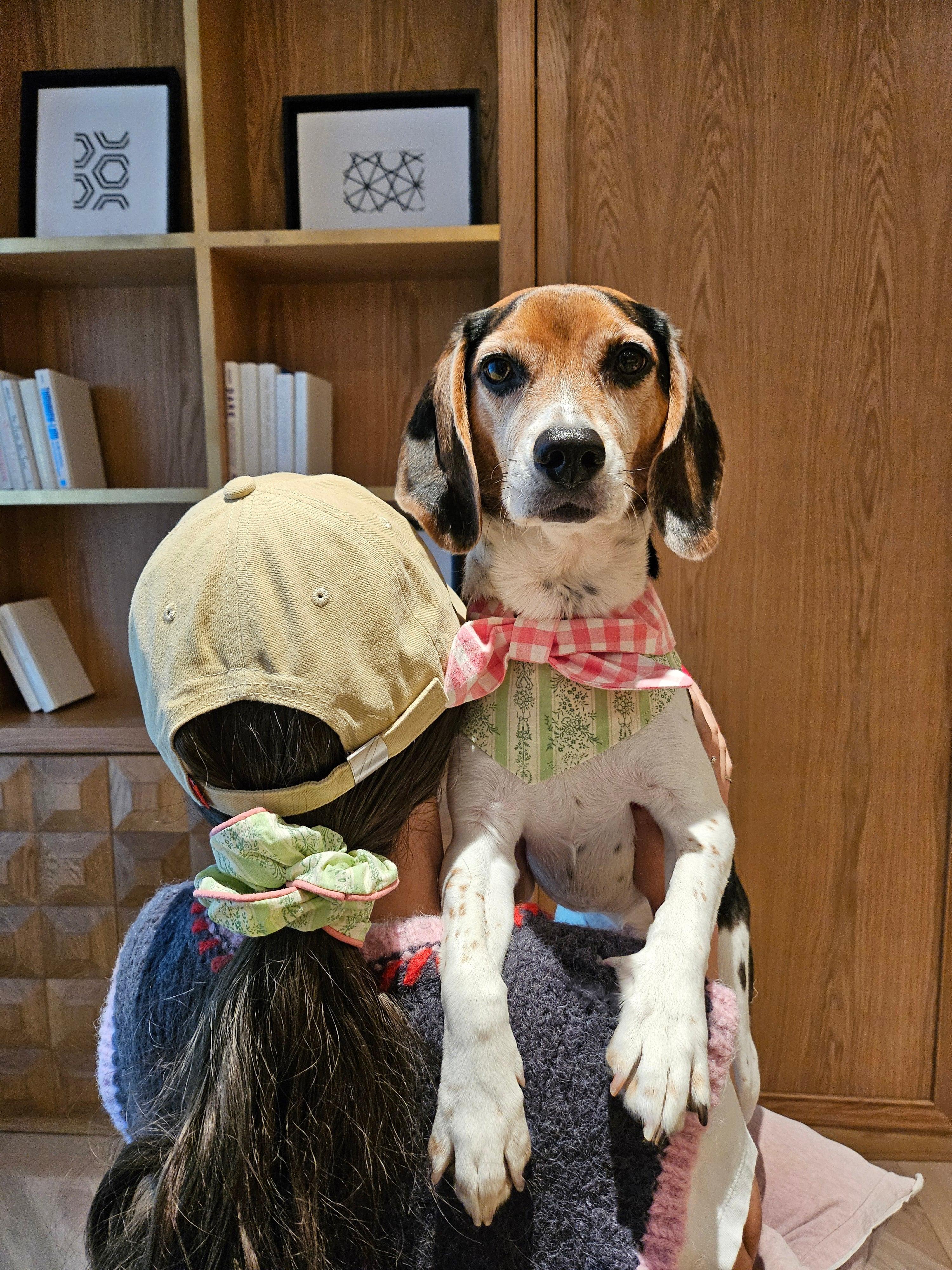 Picnic Bliss Floral Gingham Print Bandana - Image 6