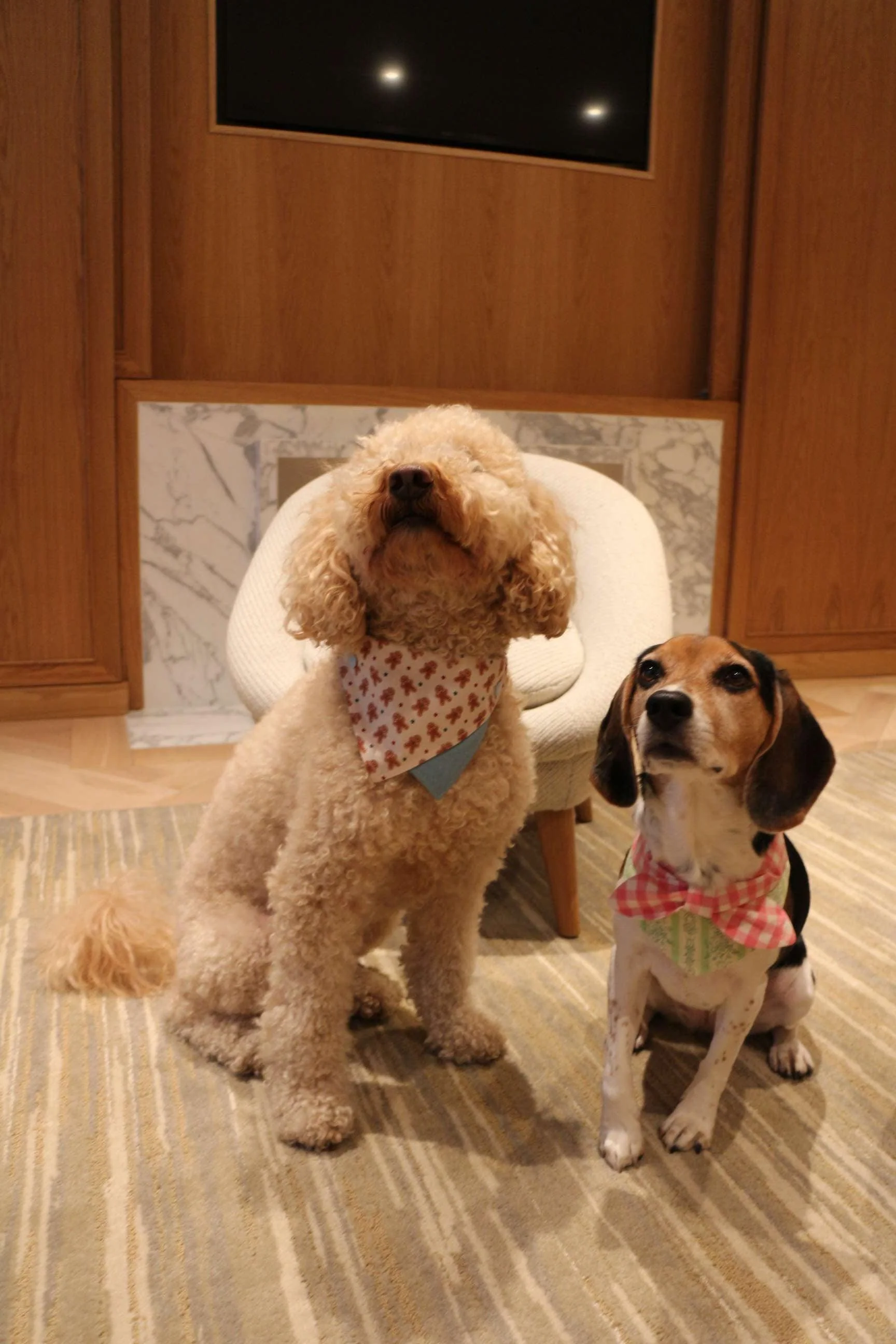 Picnic Bliss Floral Gingham Print Bandana - Image 7