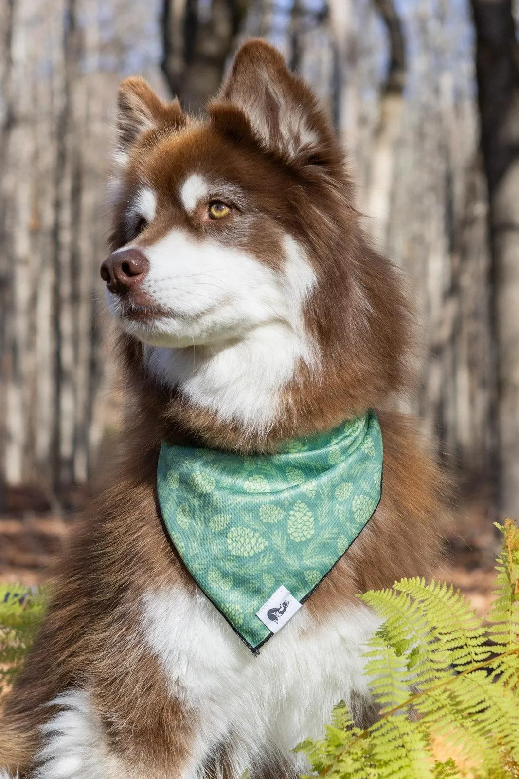 Pine Cone Pup Bandana & Matching Keychain - Image 2