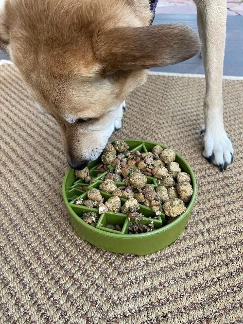 Pine Tree Christmas eBowl Deep Slow Feeder Dog Bowl for Enrichment | USA Made - Image 11