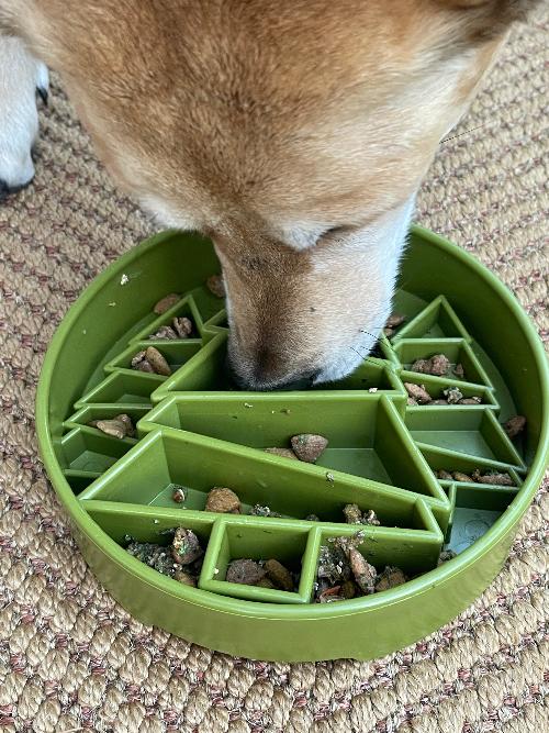 Pine Tree Christmas eBowl Deep Slow Feeder Dog Bowl for Enrichment | USA Made - Image 2