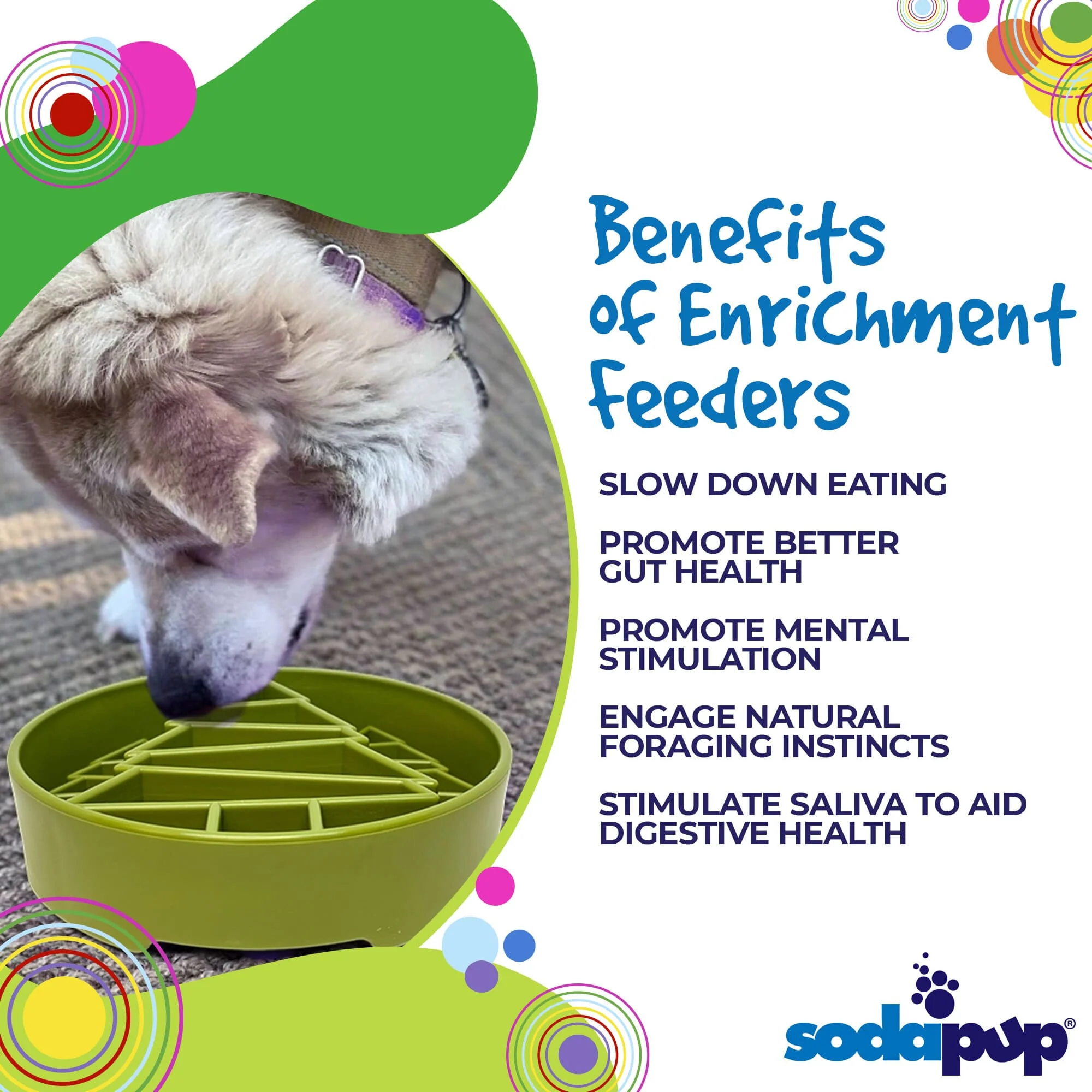 Pine Tree Christmas eBowl Deep Slow Feeder Dog Bowl for Enrichment | USA Made - Image 4