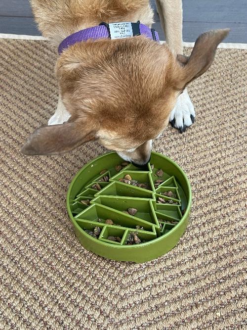 Pine Tree Christmas eBowl Deep Slow Feeder Dog Bowl for Enrichment | USA Made - Image 8