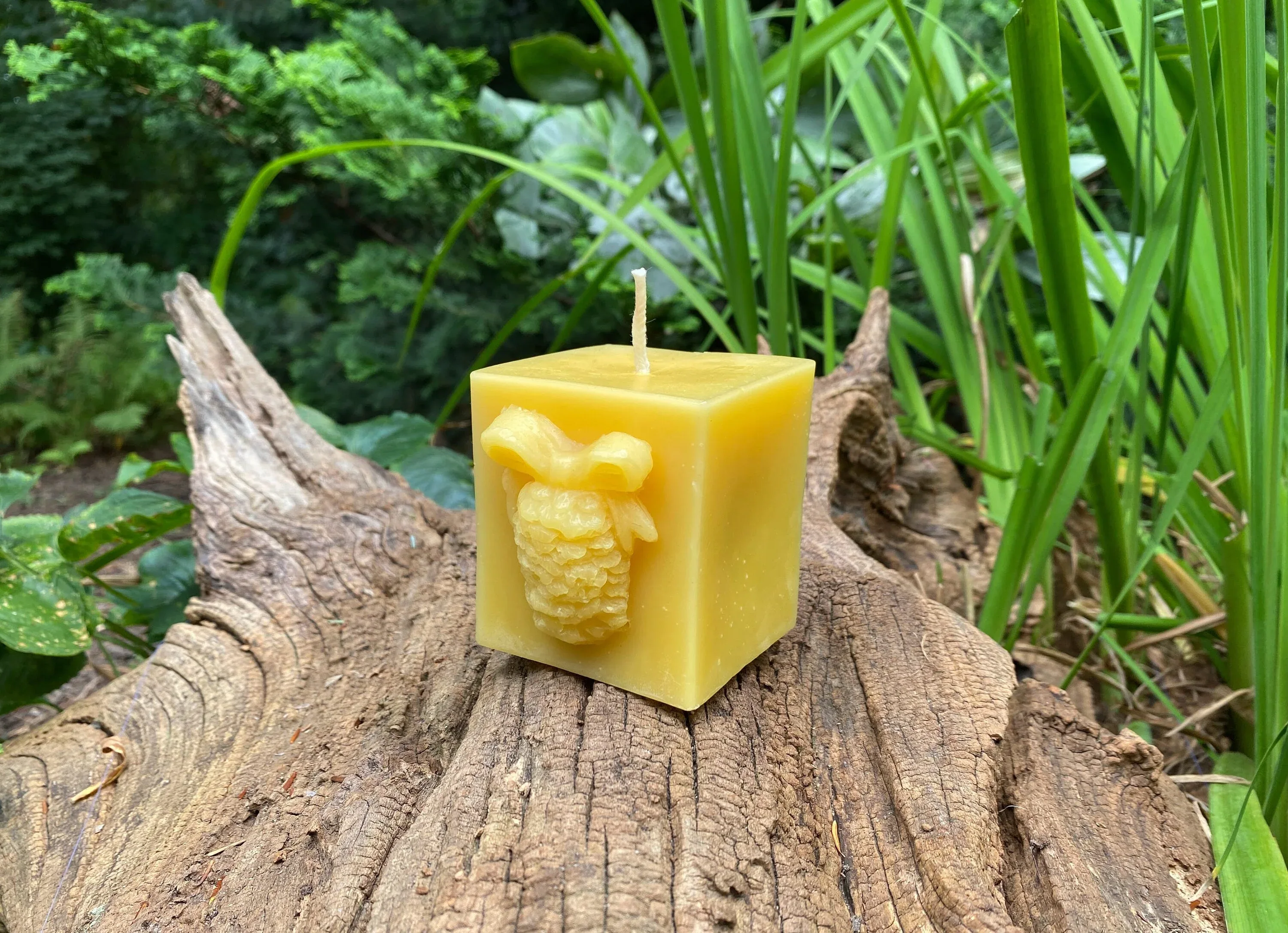 Pinecone Square Gift Beeswax Candle - Image 3