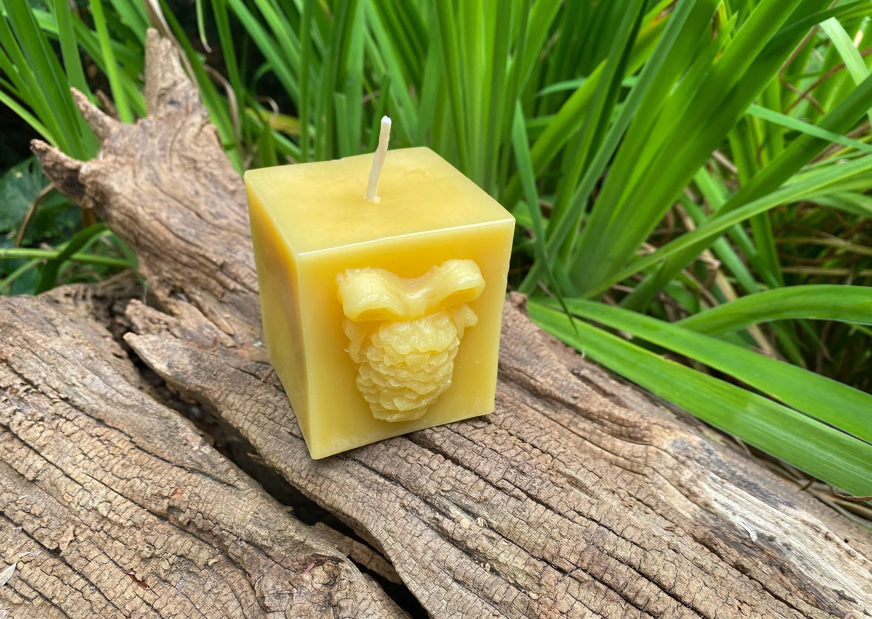 Pinecone Square Gift Beeswax Candle - Image 4