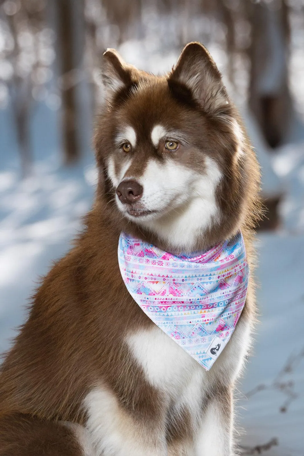 Pink and Blue Tribal Dog Bandana - Image 2