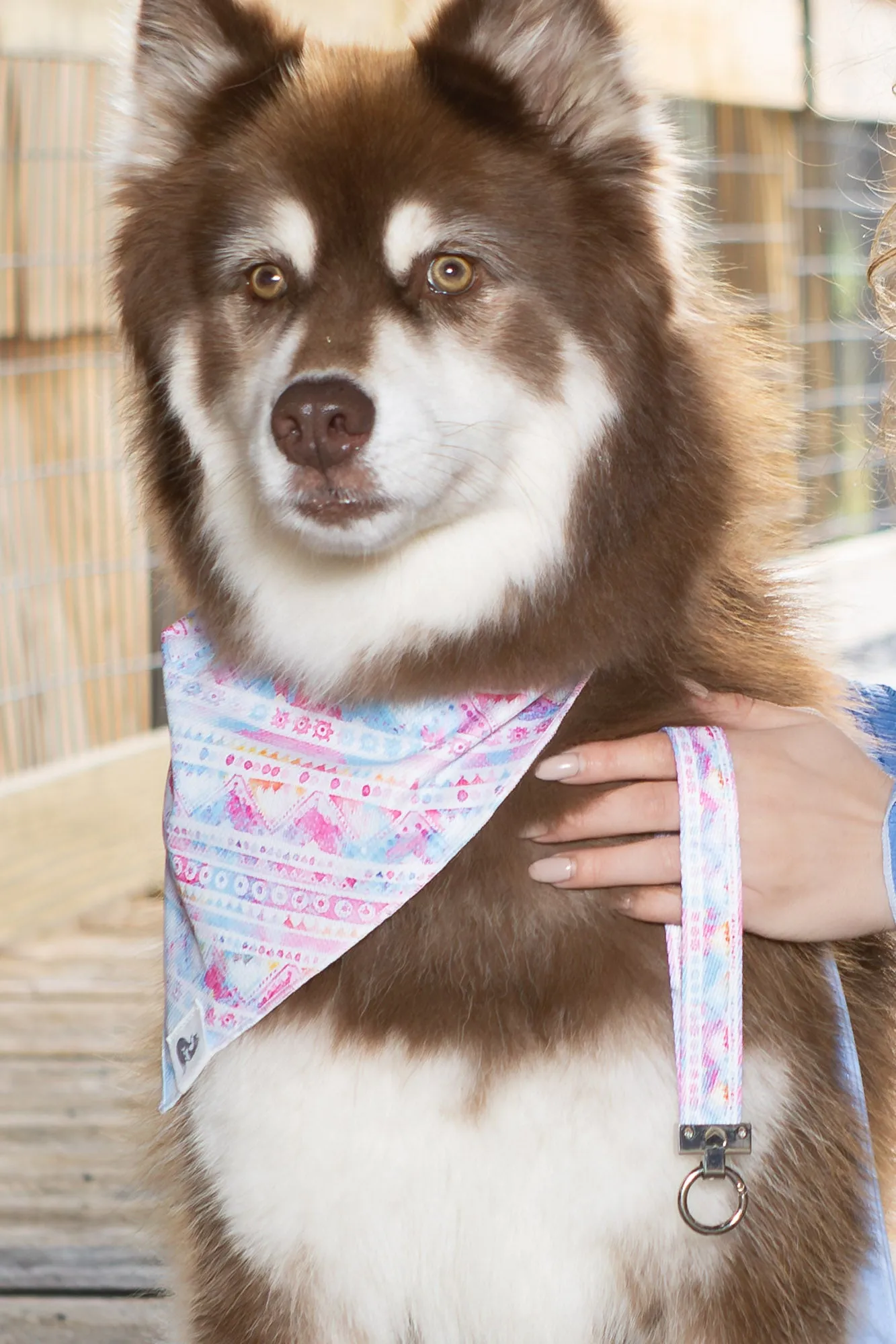 Pink and Blue Tribal Dog Bandana & Matching Keychain - Image 2