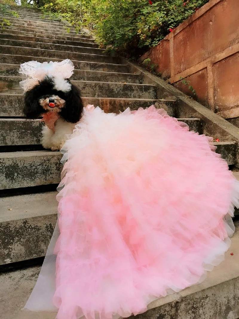 Pink Candy Bloom Gown For Dog - Image 4