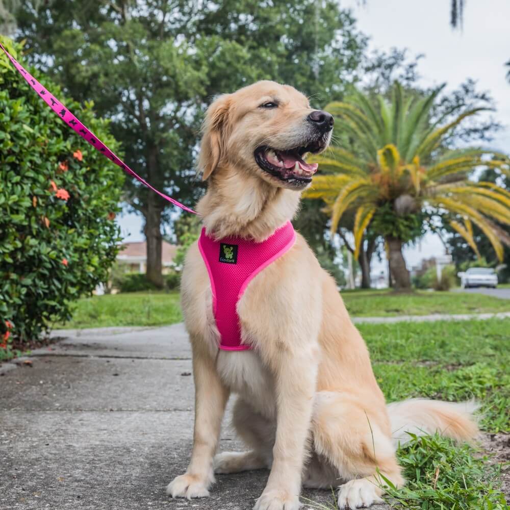 Pink Dog Leash by EcoBark - Padded Comfort Grip Leash - 4ft, 5ft, and 6ft Leash for Teacup, Small, and Medium Dogs - Image 10