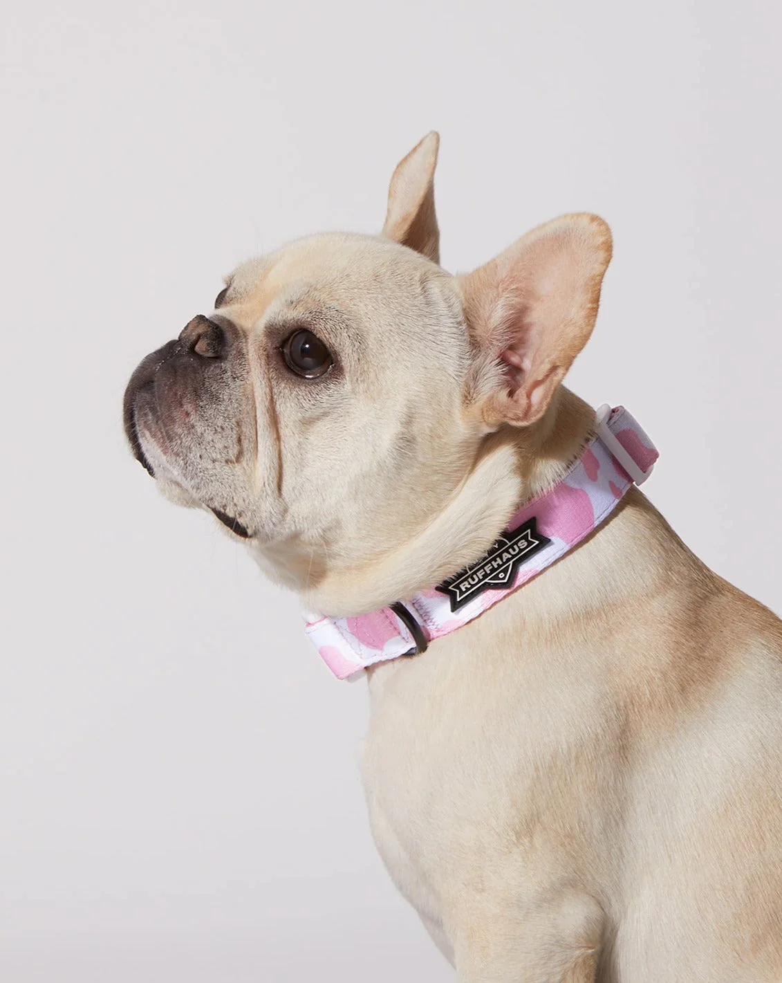 Pink Moo'd Collar & Bowtie - Image 3
