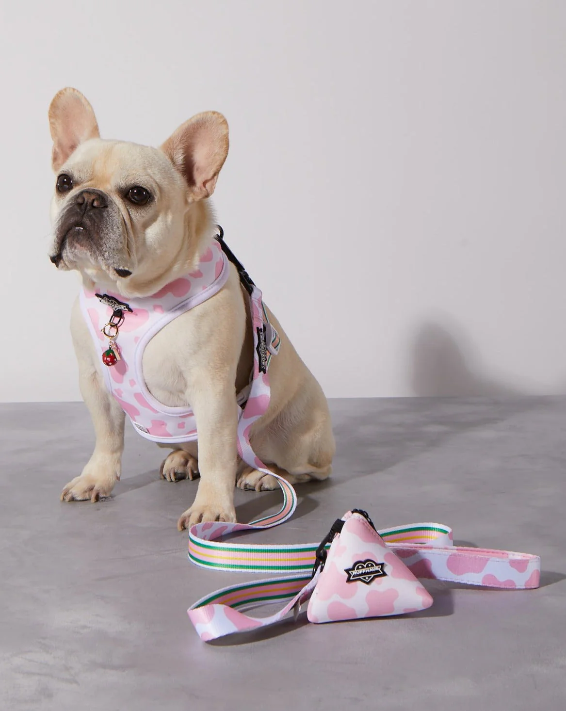Pink Moo'd Dog Leash - Image 2