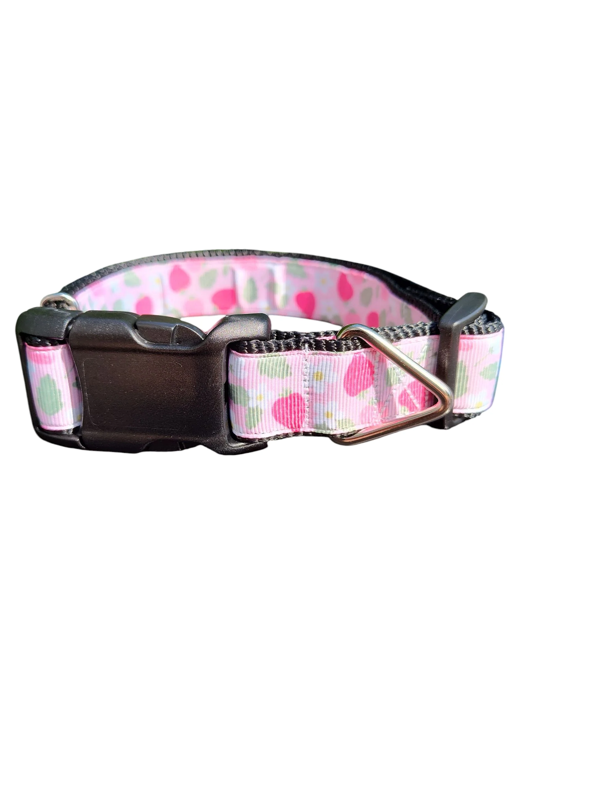 Pink Strawberries Nylon Dog Collar - Image 2