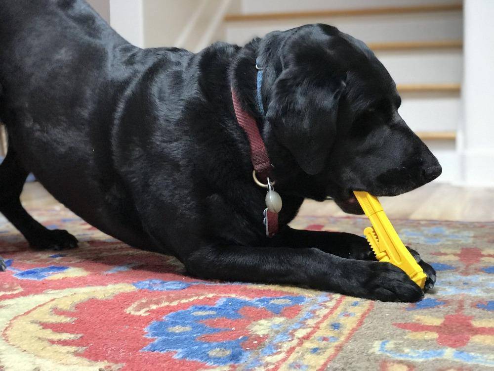 Pipe Wrench Nylon Dog Toy for Aggressive Chewers | USA Made | SodaPup - Image 10