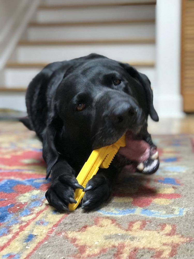 Pipe Wrench Nylon Dog Toy for Aggressive Chewers | USA Made | SodaPup - Image 8