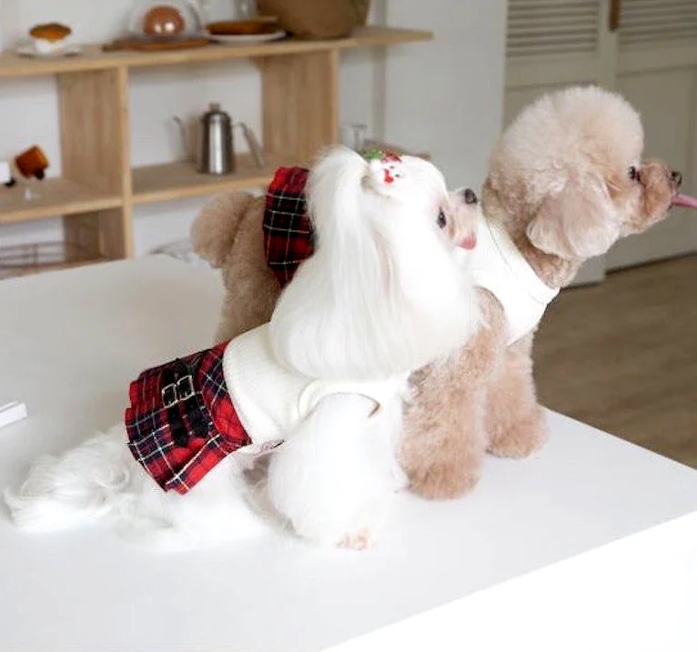 Plaid Dog Kilt Skirt with Buckle Detail - Stylish Pet Outfit Knitted Jumper Sweater for Fall & Winter - Image 6