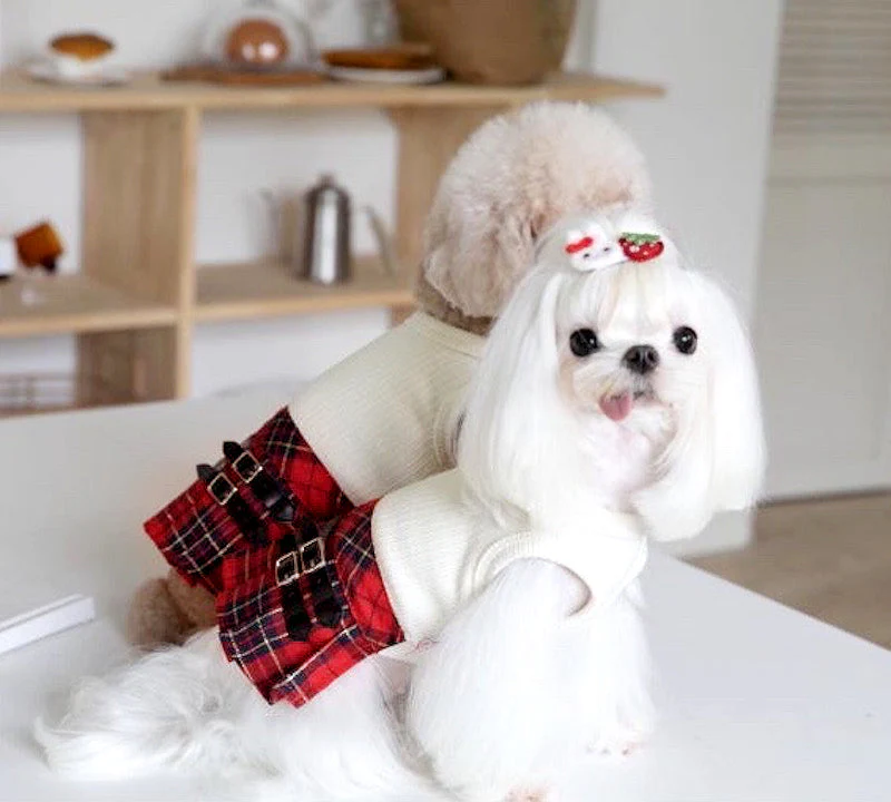 Plaid Dog Kilt Skirt with Buckle Detail - Stylish Pet Outfit Knitted Jumper Sweater for Fall & Winter - Image 8