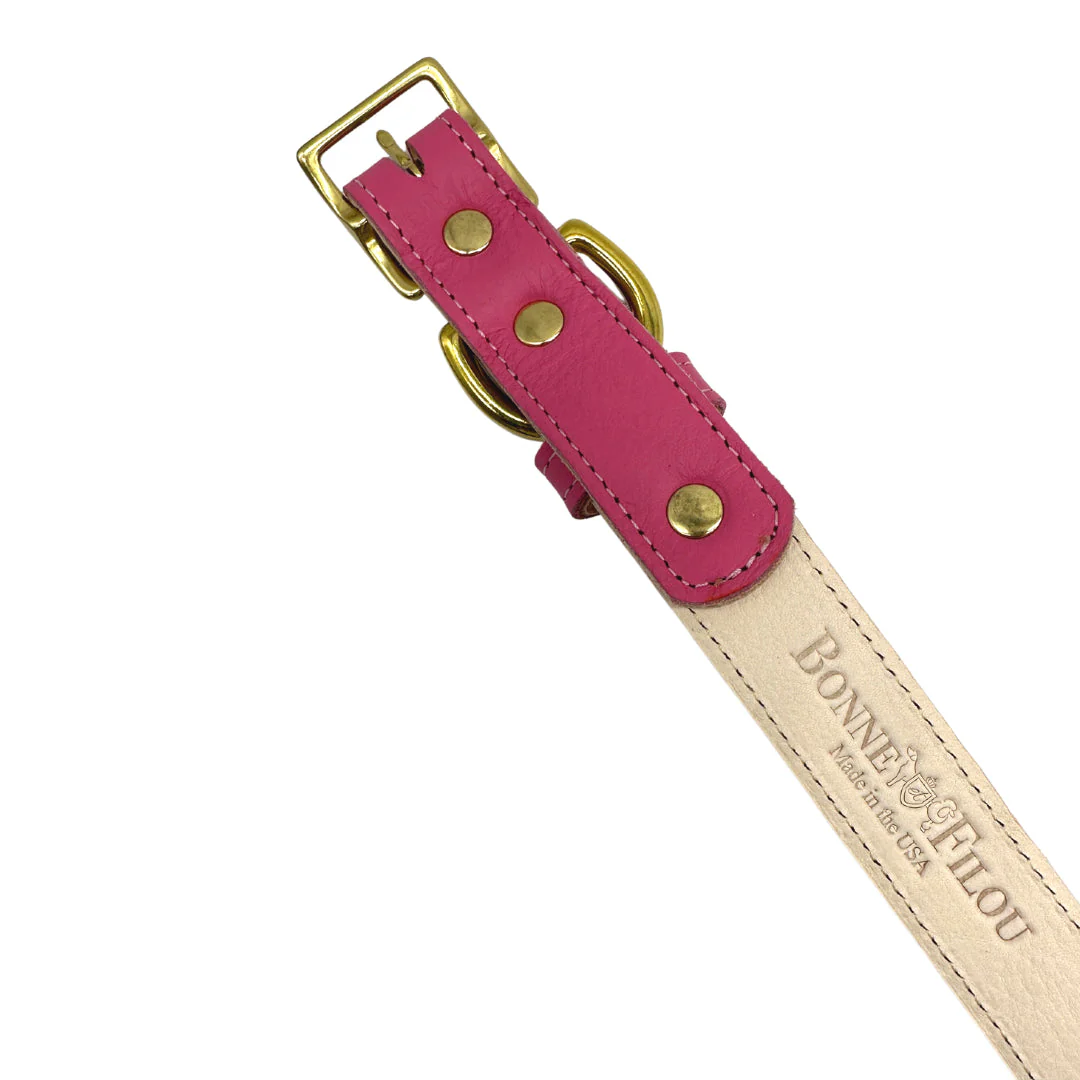 Plain Leather Dog Collar - Image 21