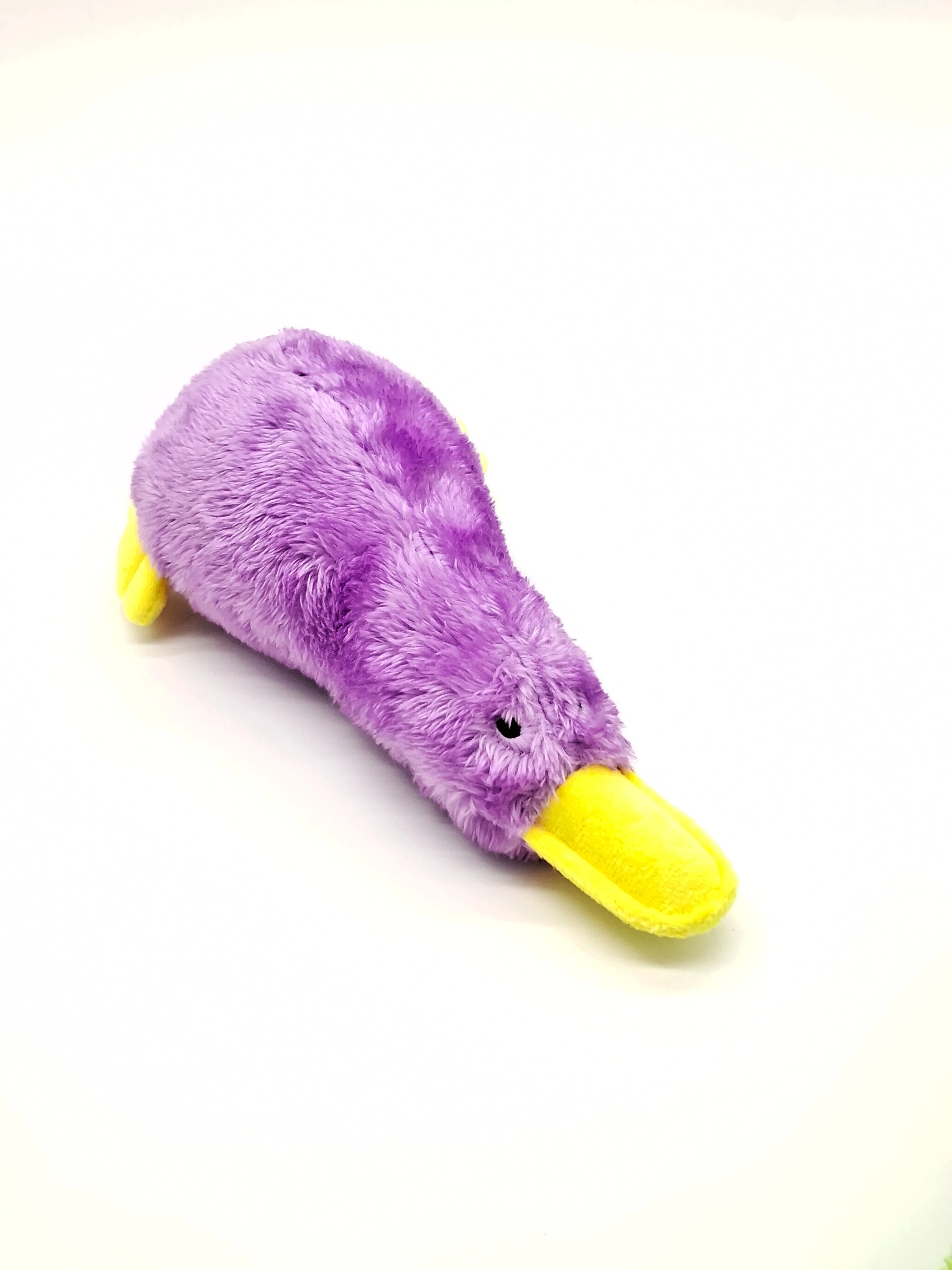 Platz the Platypus - Image 2
