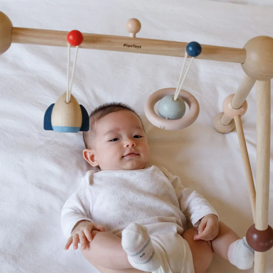 Play Gym - Orchard - Image 3