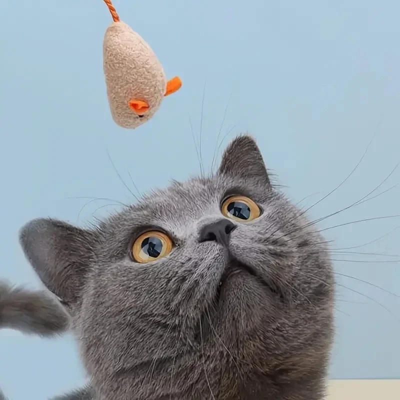 Plush Rat Cat Toy Set – 3/7PCS Durable Linen Indoor Play - Image 4
