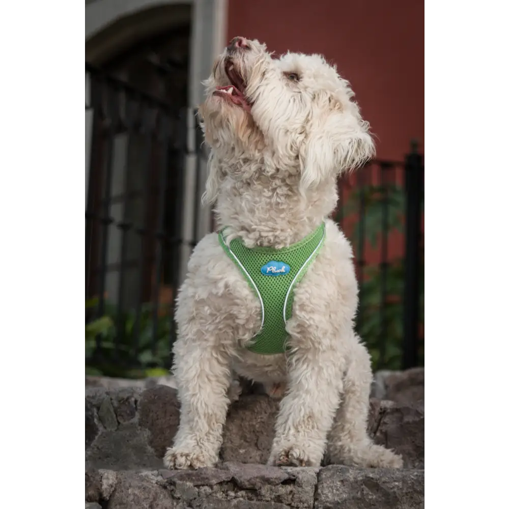 Plush Step In Air Mesh Harness - Grass Green - Image 3