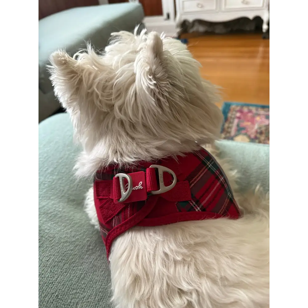 Plush Step In Harness Plaid Red - Image 3
