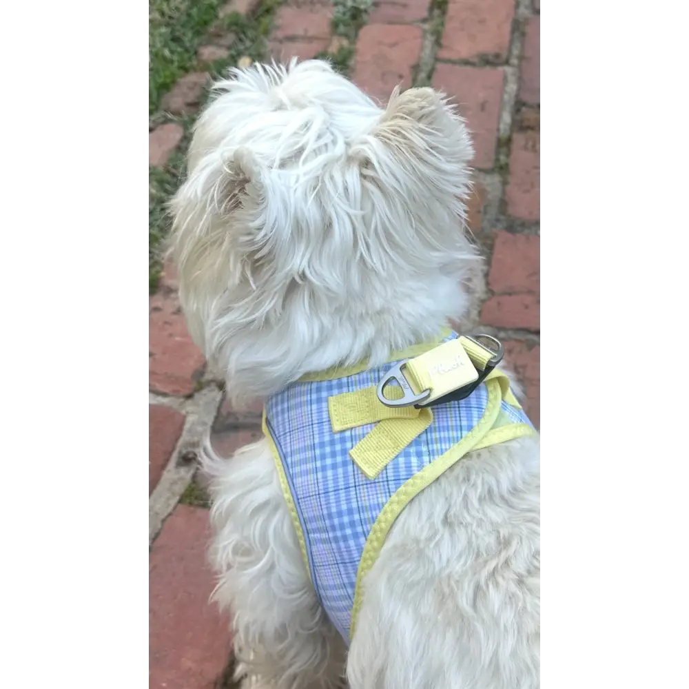 Plush Step In Harness Spring Plaid - Image 3