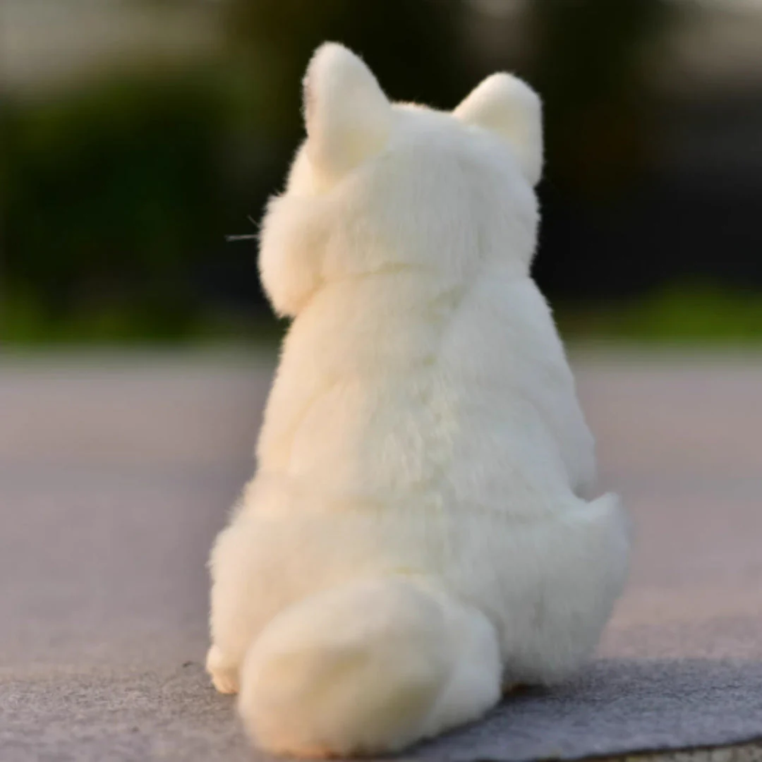 Plush Toys, Animal Dolls, And Plush Toys - Image 2