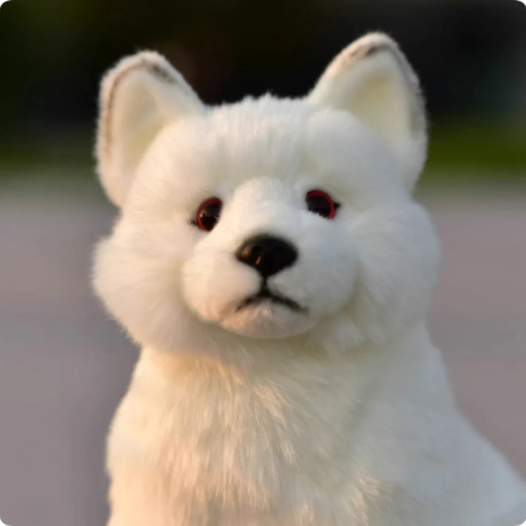 Plush Toys, Animal Dolls, And Plush Toys - Image 3