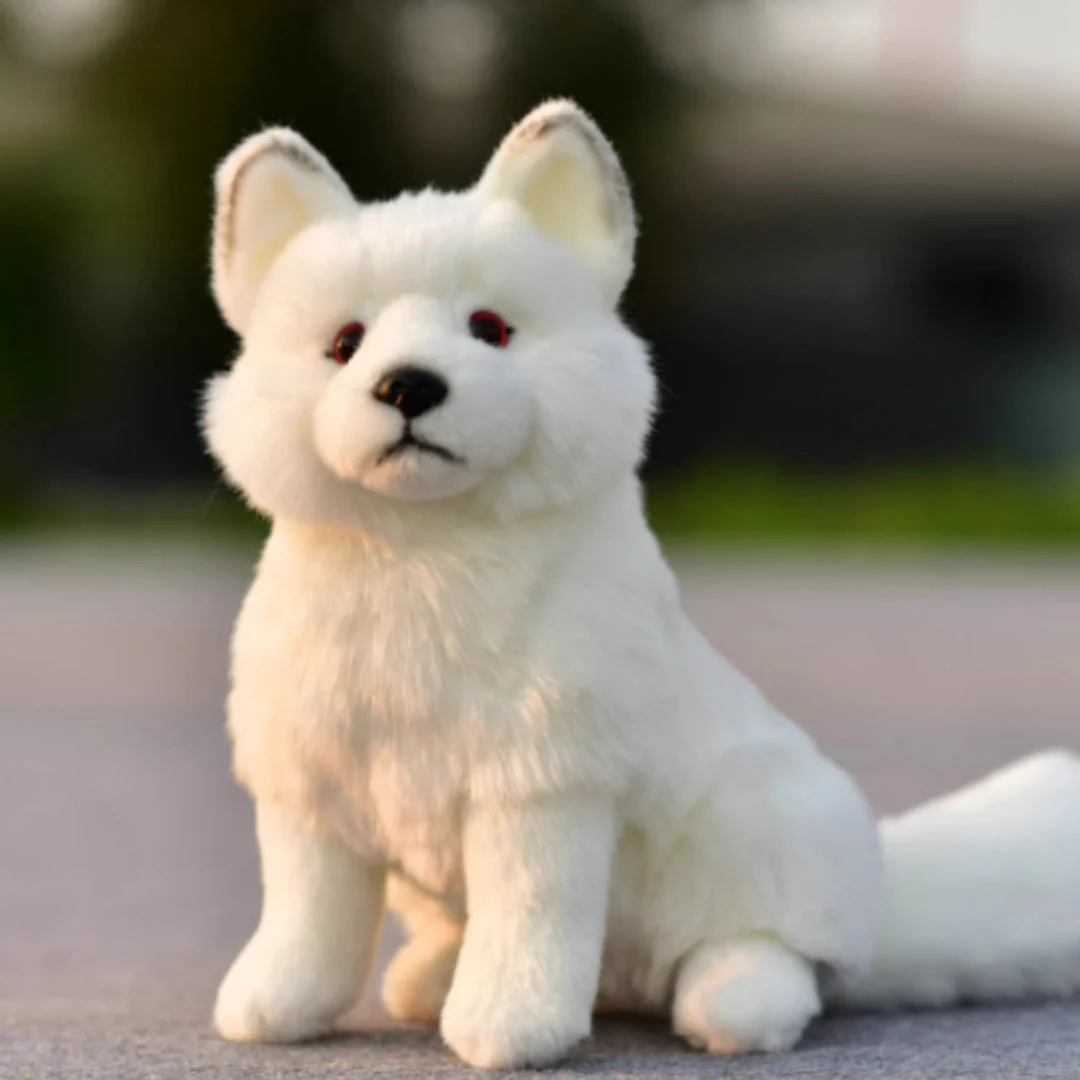 Plush Toys, Animal Dolls, And Plush Toys - Image 5
