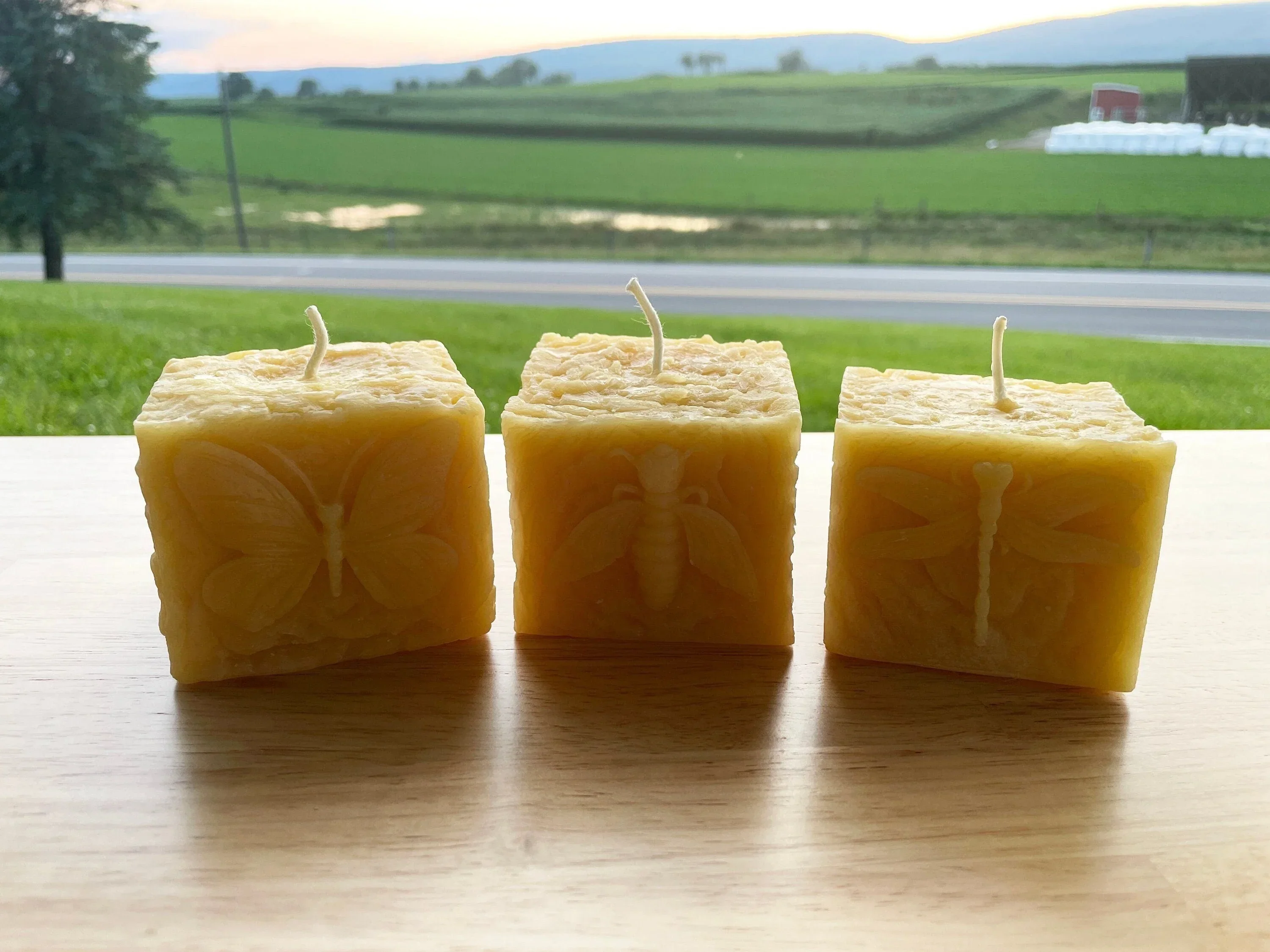 Pollinator Pillar Beeswax Candle Collection - Image 3