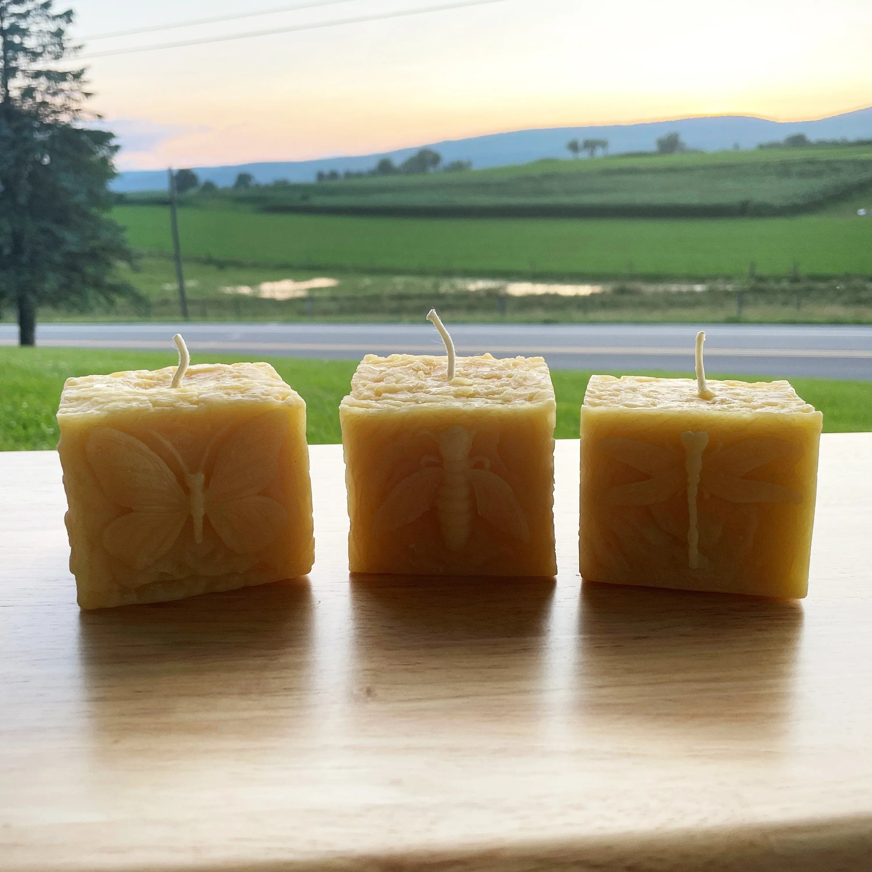 Pollinator Pillar Beeswax Candle Collection - Image 4