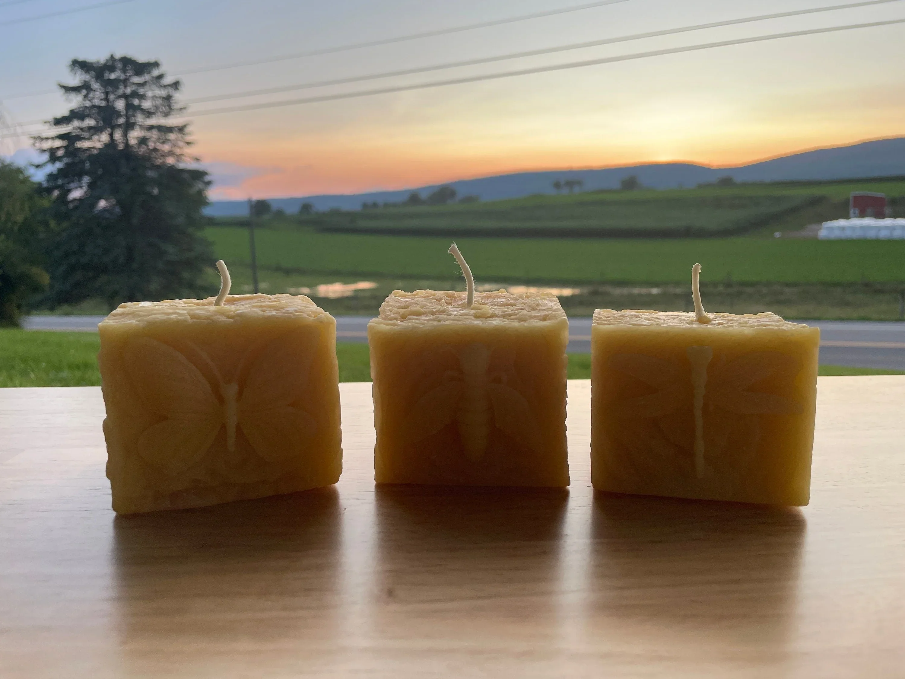 Pollinator Pillar Beeswax Candle Collection - Image 5