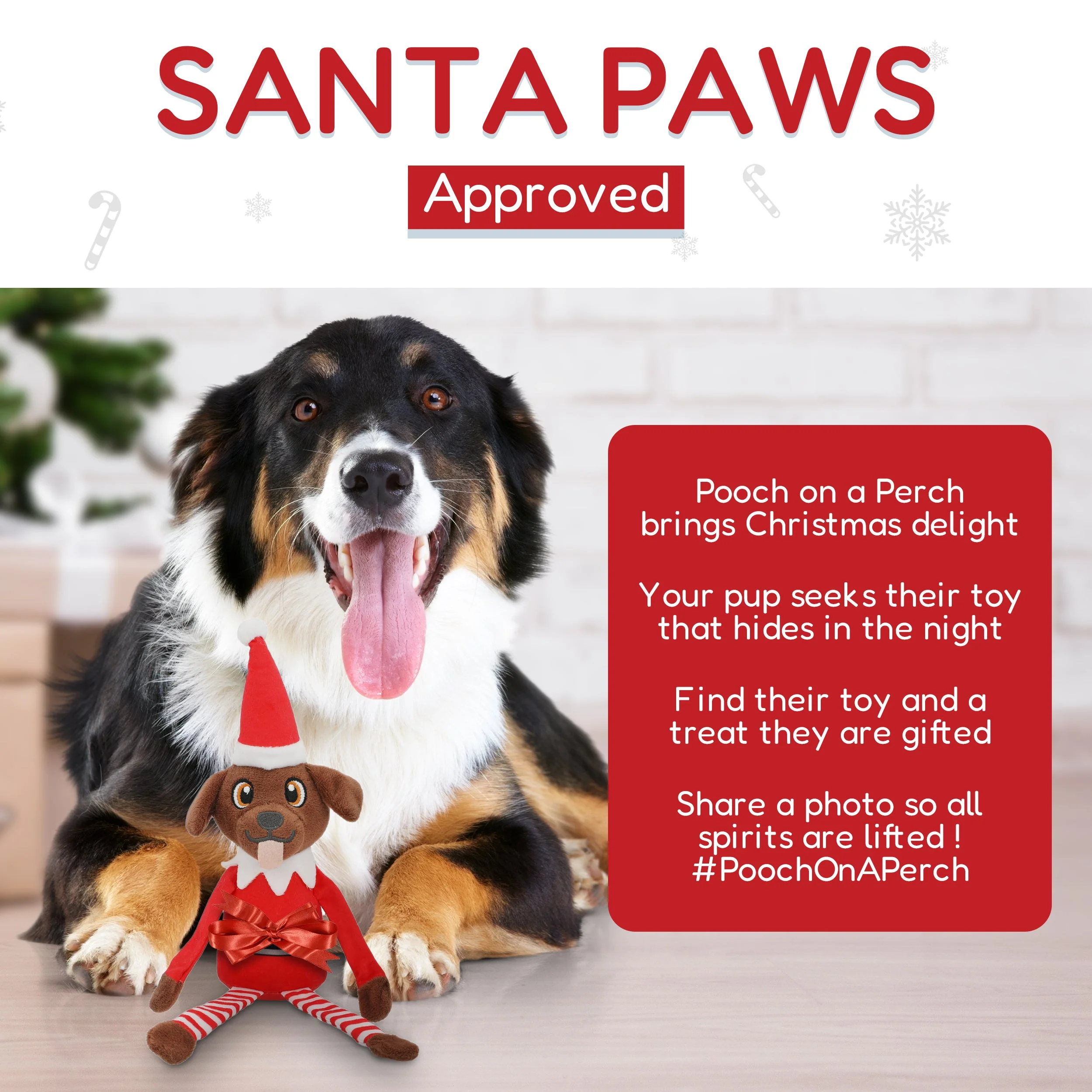 Pooch on a Perch – Christmas Elf Dog Toy with Squeaker & Crinkle Paper - Image 5