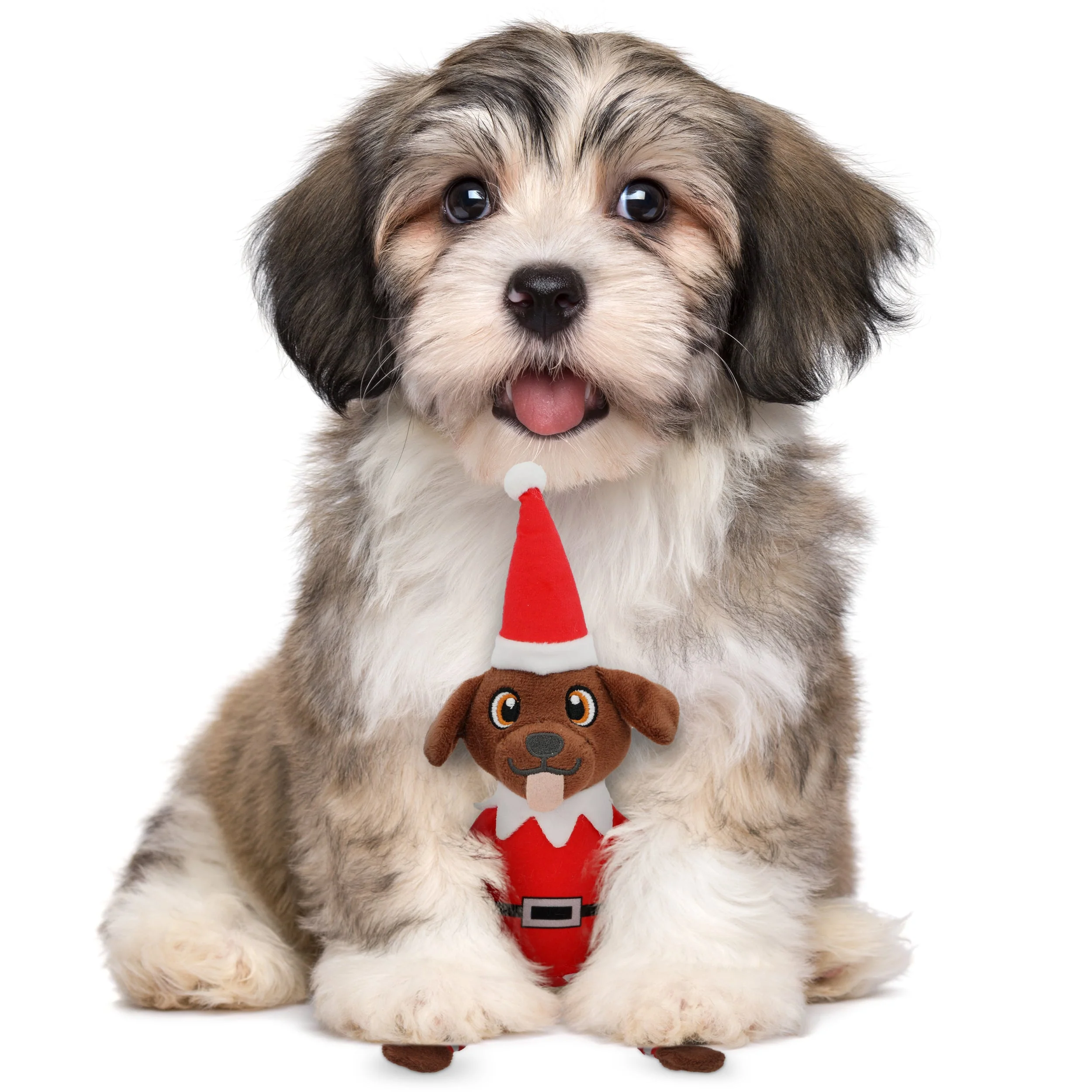 Pooch on a Perch – Christmas Elf Dog Toy with Squeaker & Crinkle Paper - Image 7