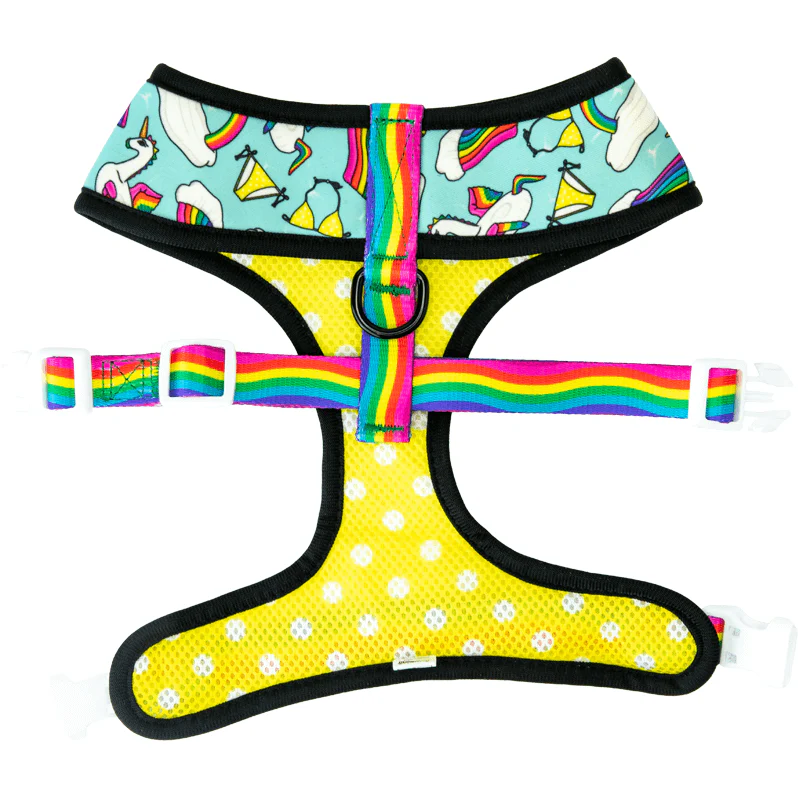 Pool Pawty Reversible Harness - Image 3