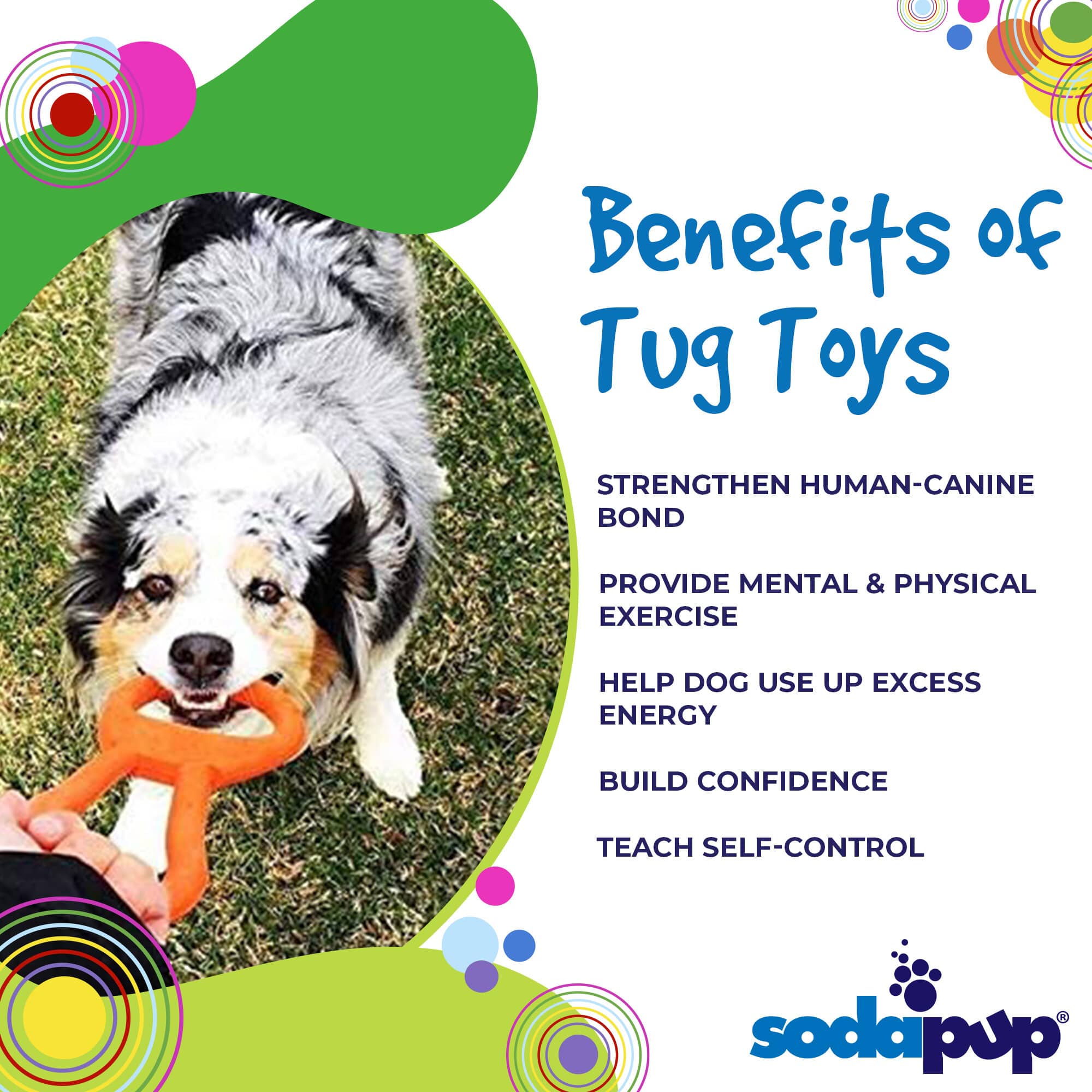 Pop Top Rubber Tug Toy for Interactive Play | Heavy Chewers | USA Made | SodaPup - Image 3